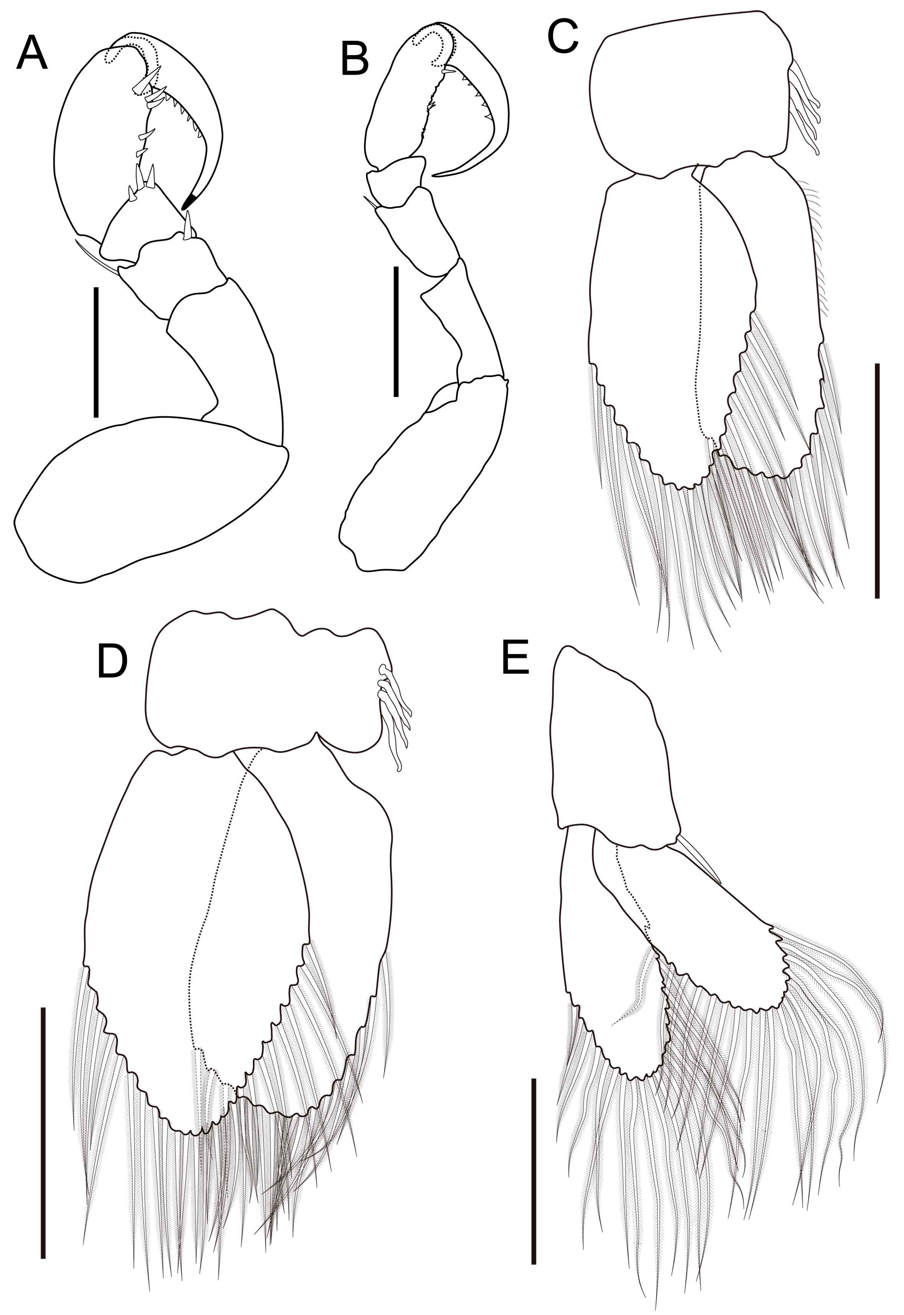 Fishes 10 00126 g006