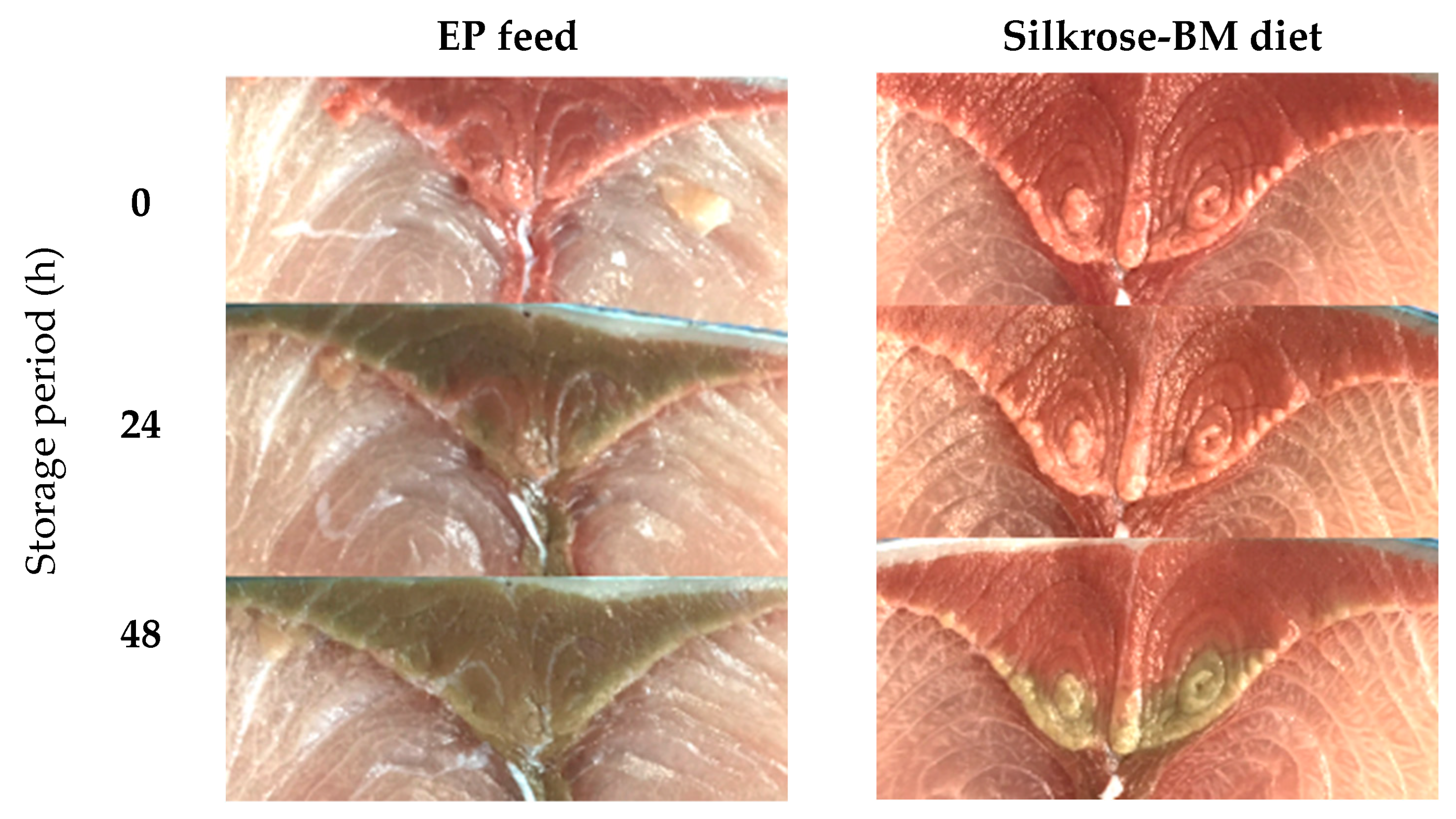 Fishes 10 00130 g003