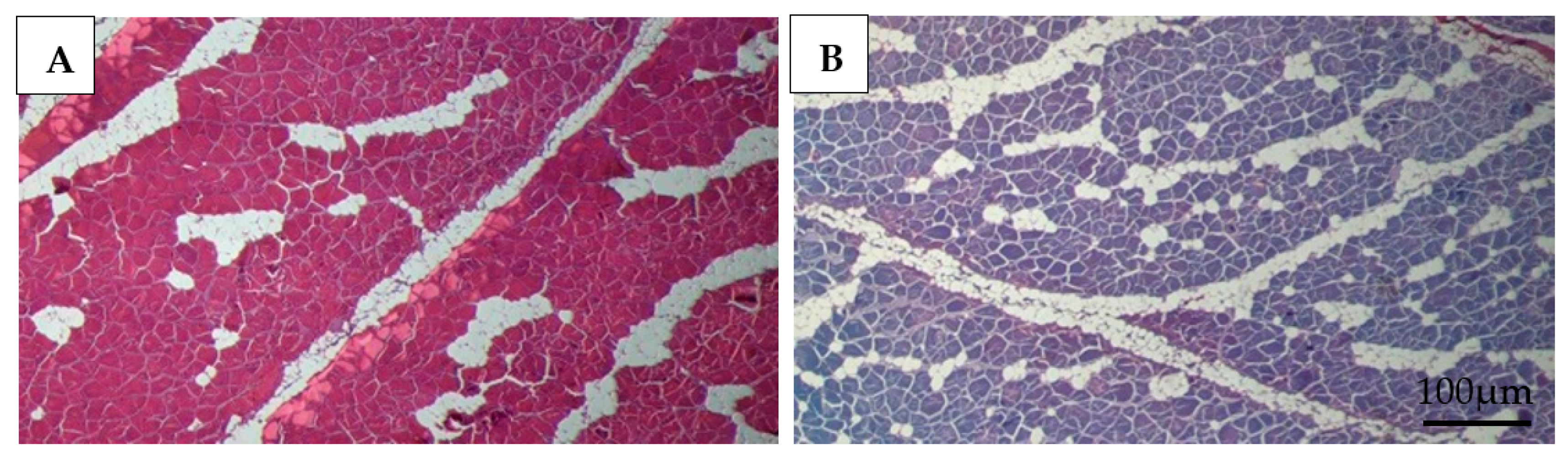 Fishes 10 00130 g006