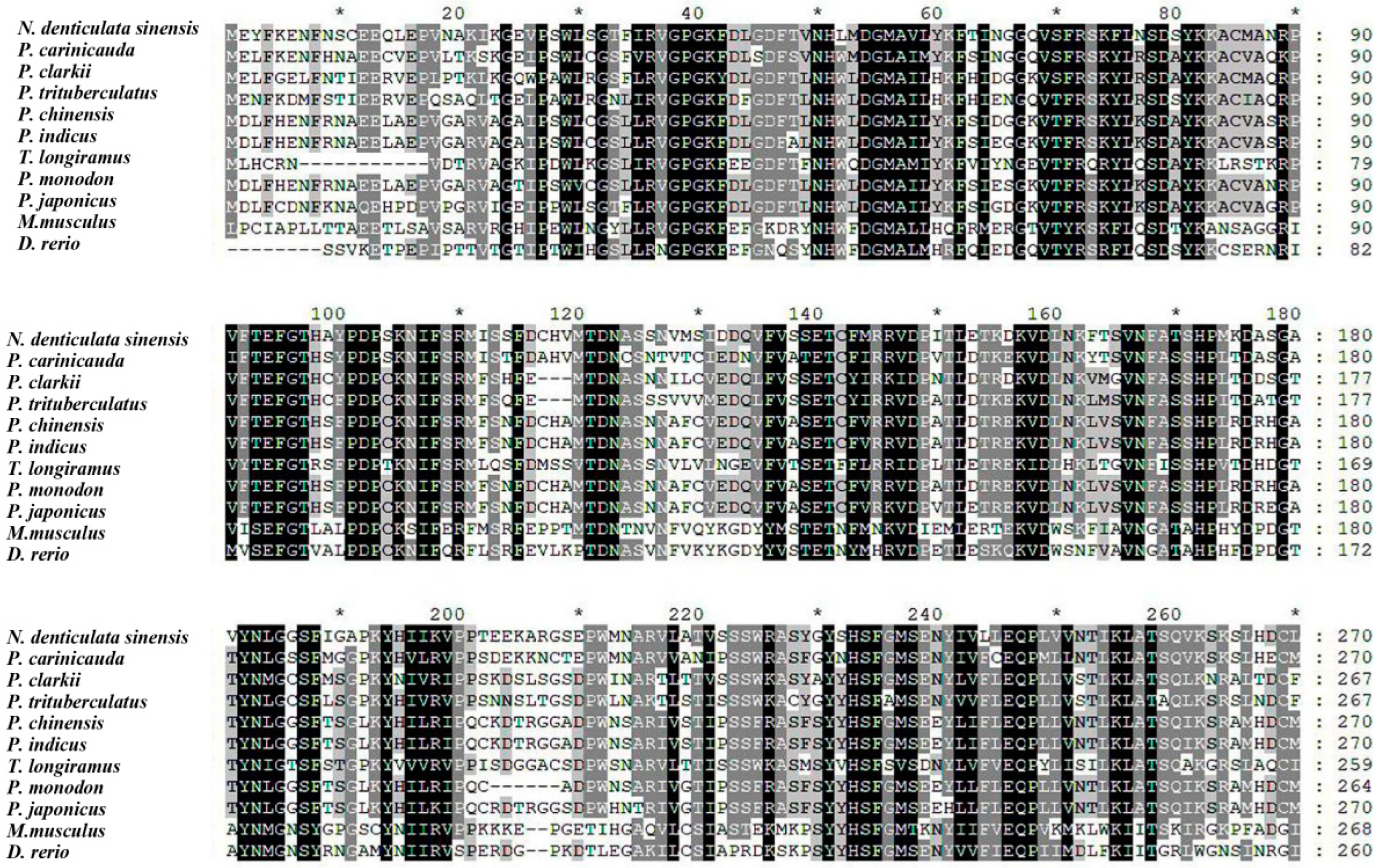 Fishes 10 00134 g001