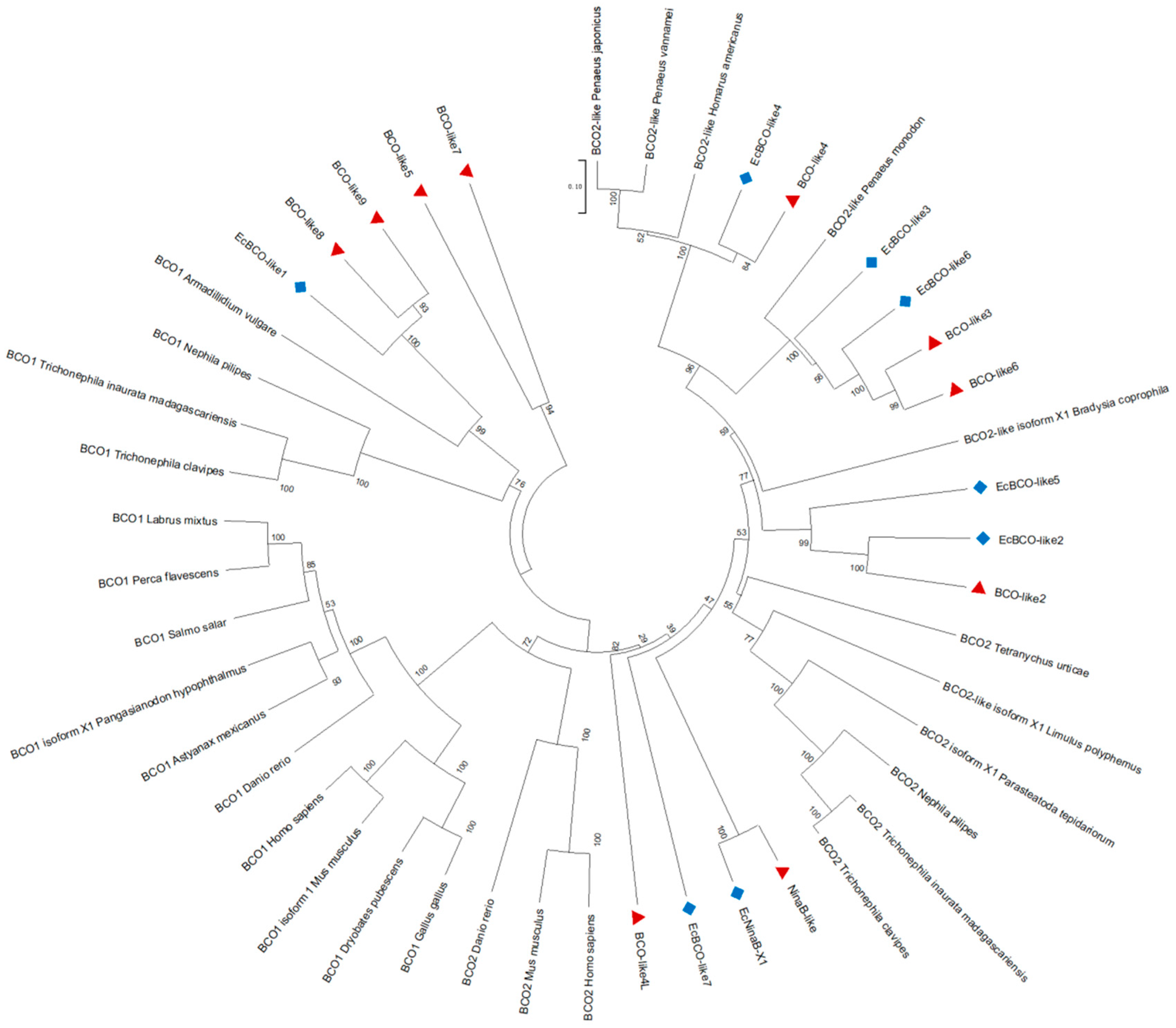 Fishes 10 00134 g002