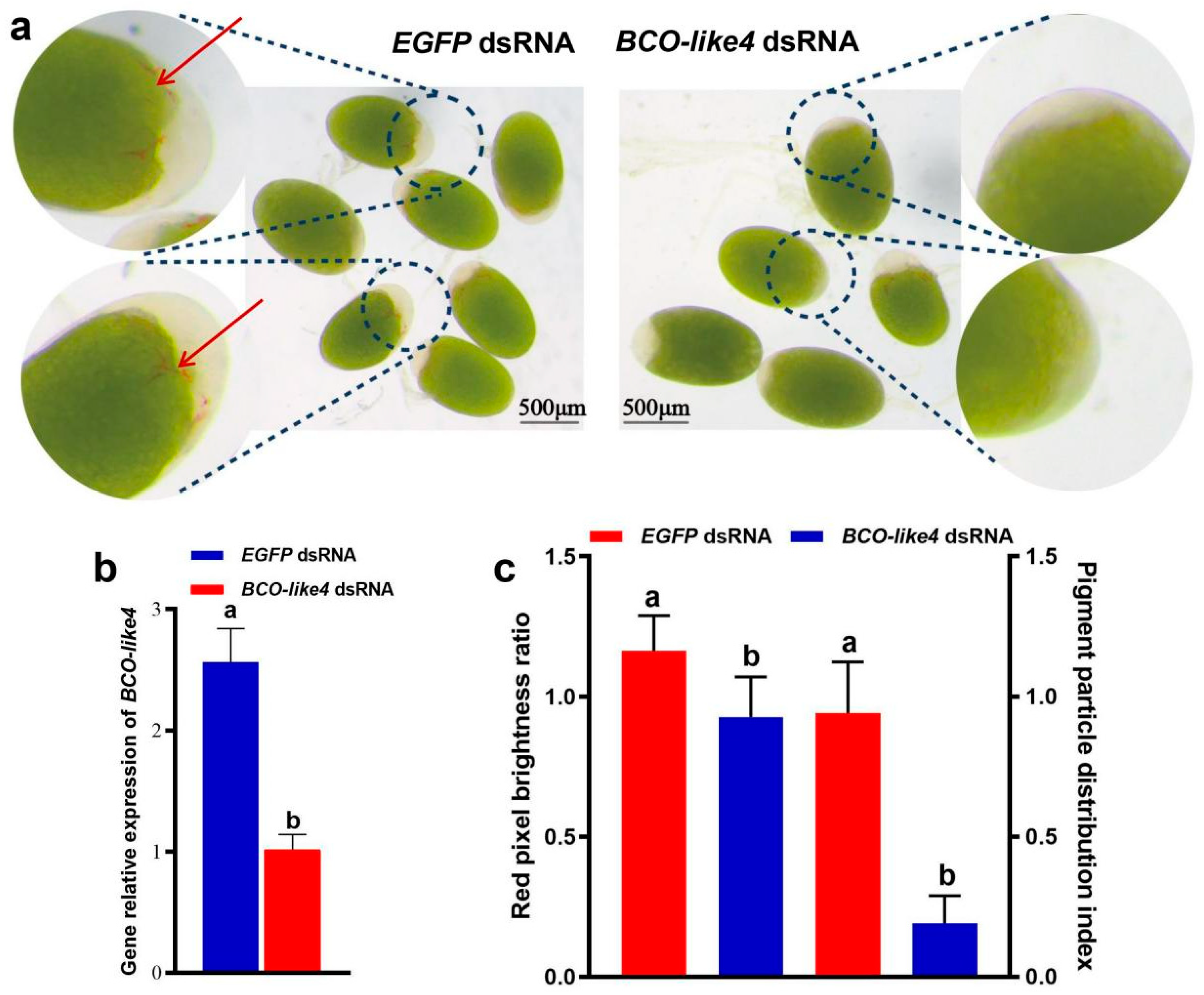 Fishes 10 00134 g004