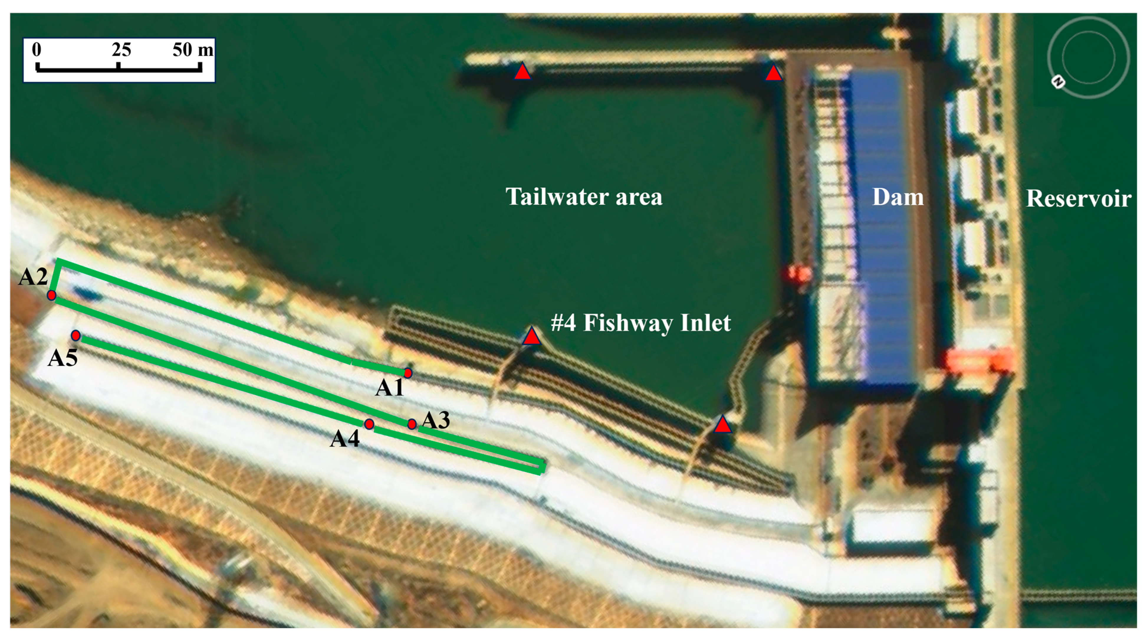 Fishes 10 00136 g001