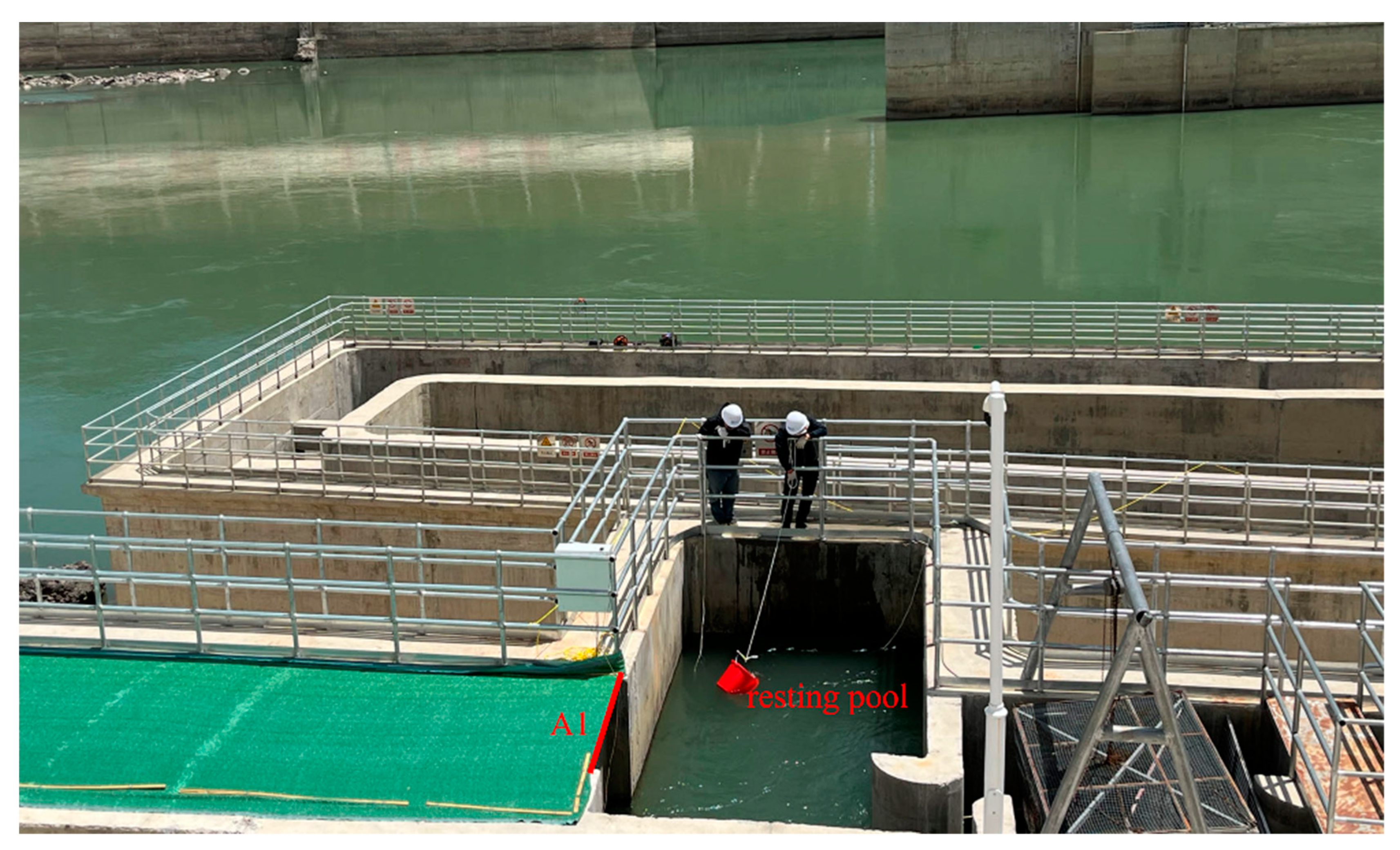 Fishes 10 00136 g004