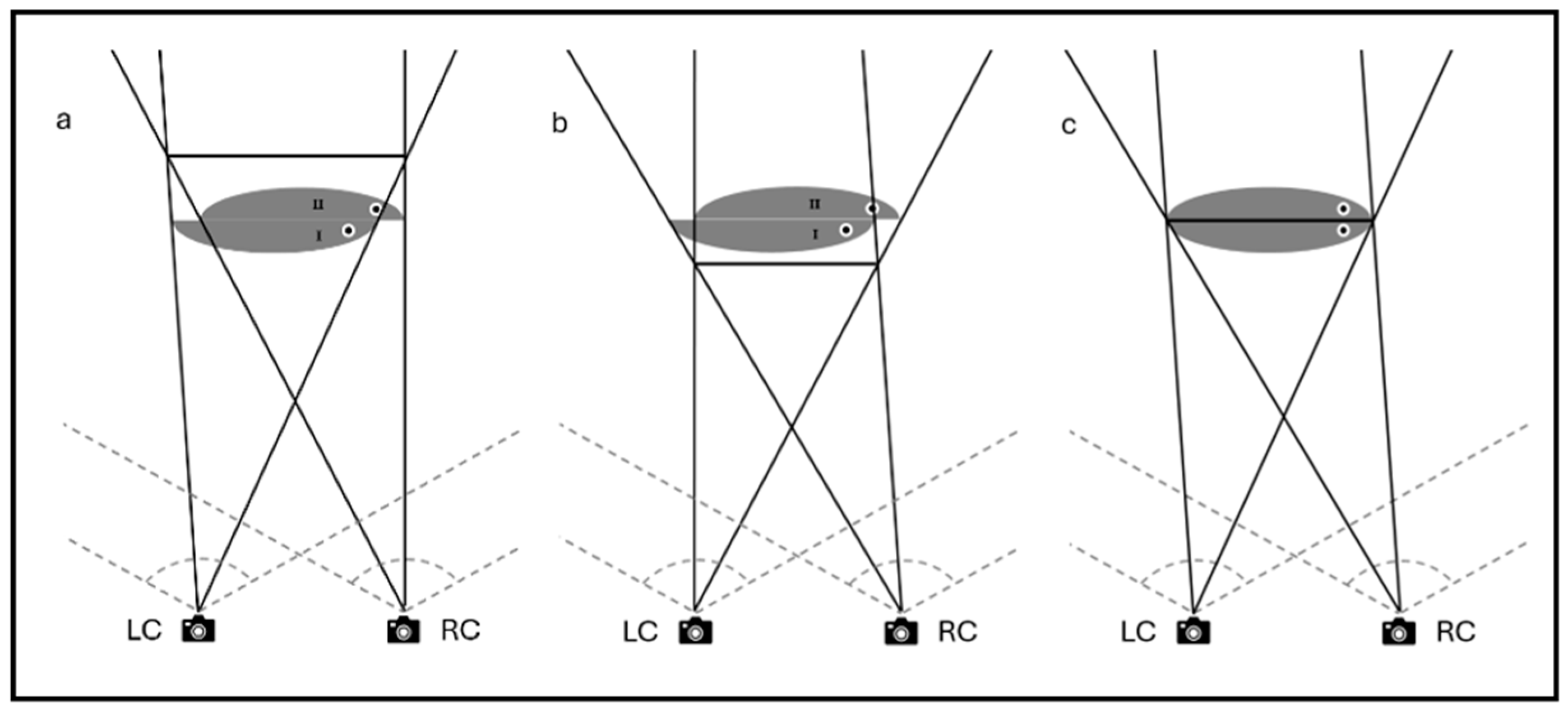 Fishes 10 00139 g001