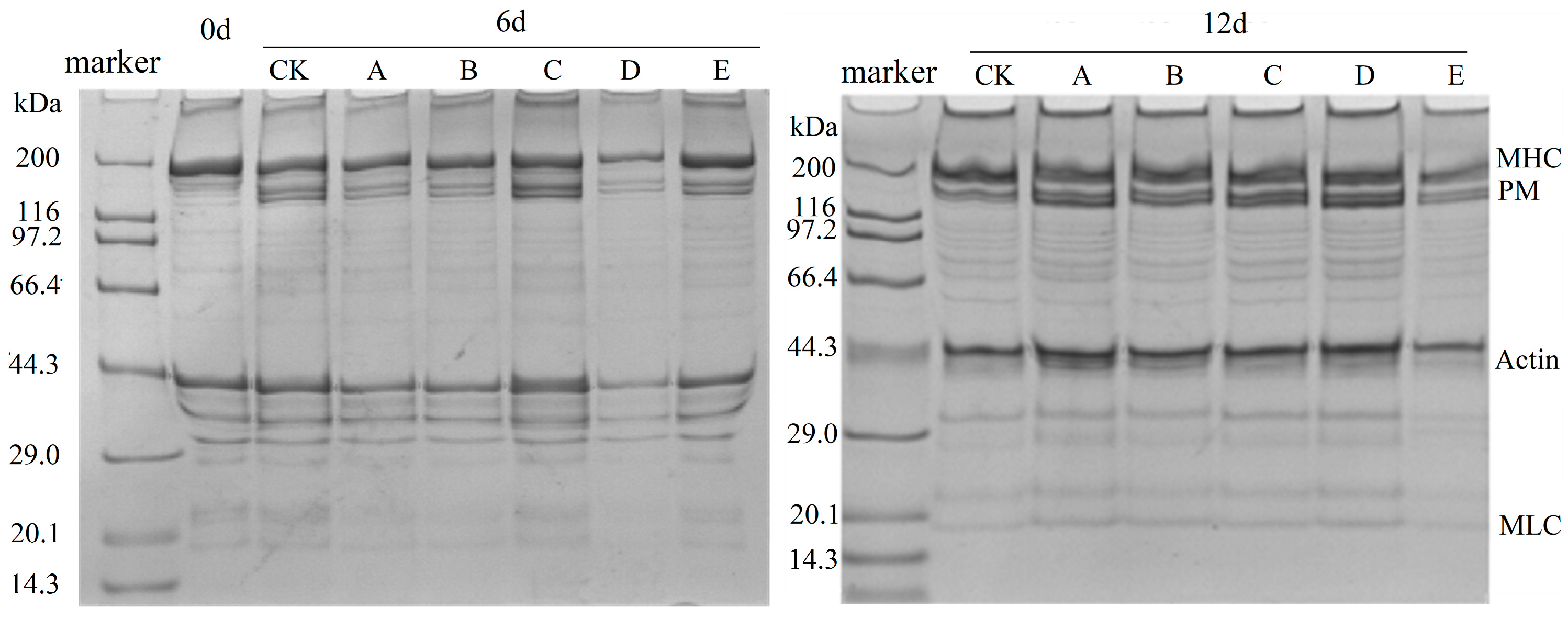 Fishes 10 00141 g003