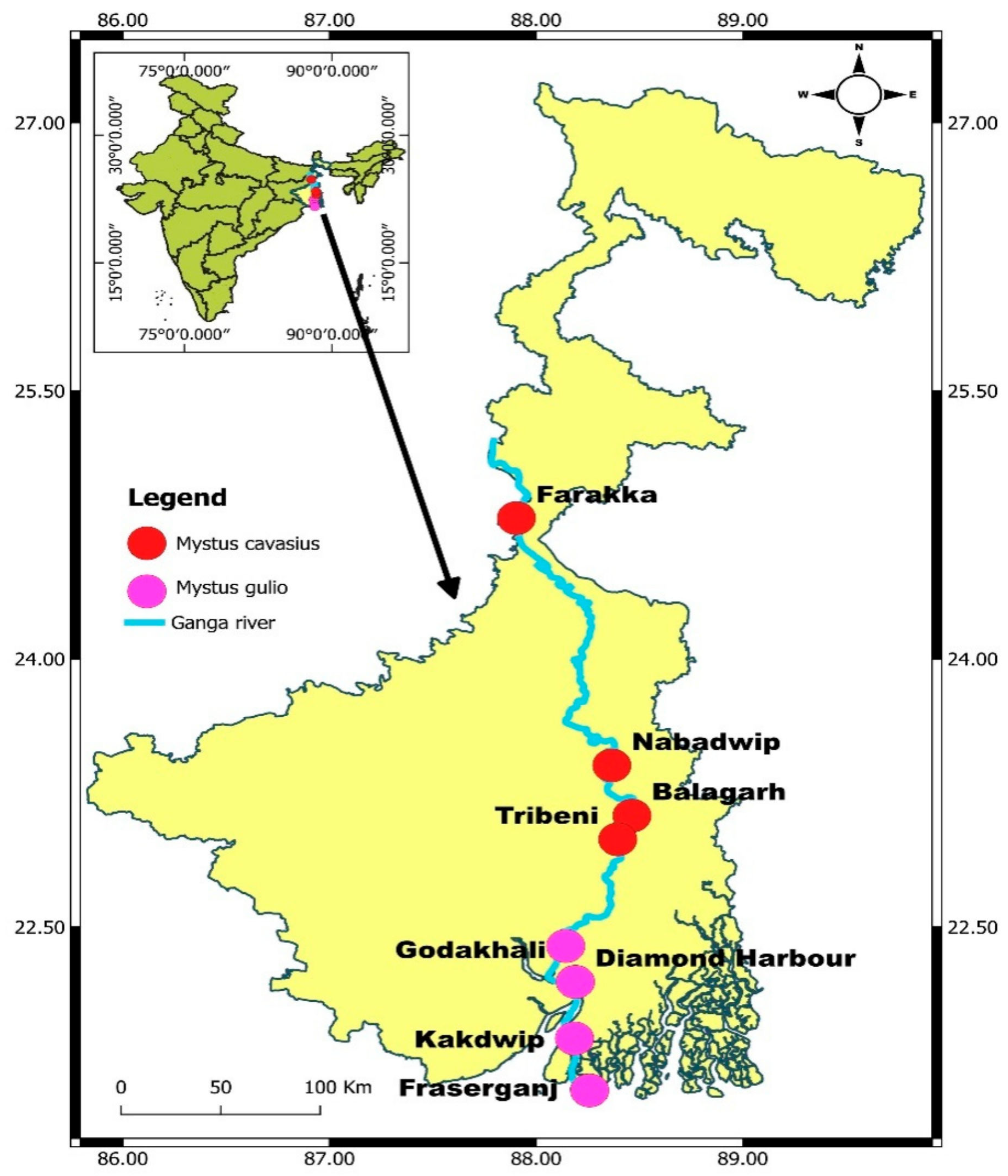 Fishes 10 00142 g001