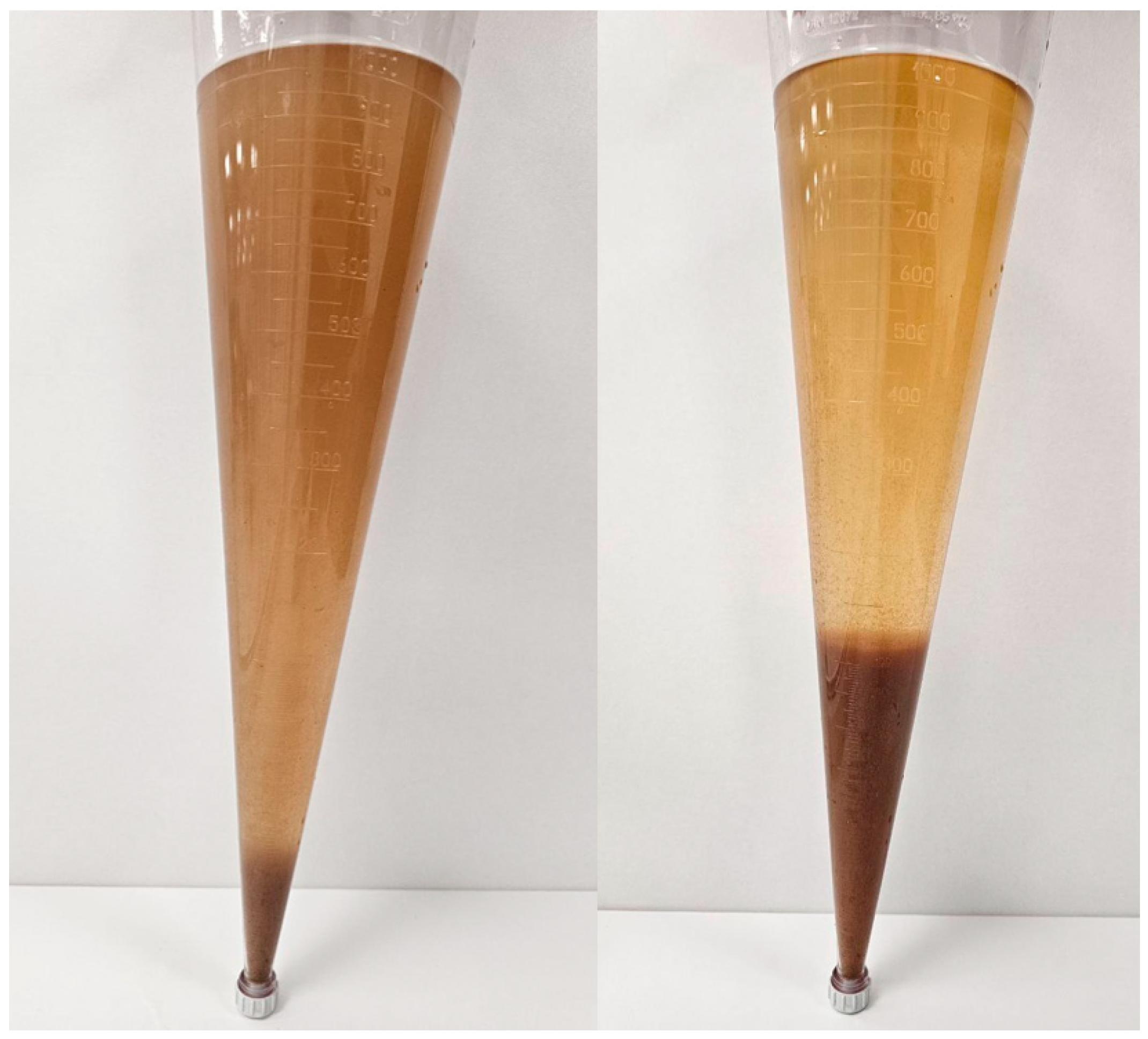 Fishes 10 00144 g001