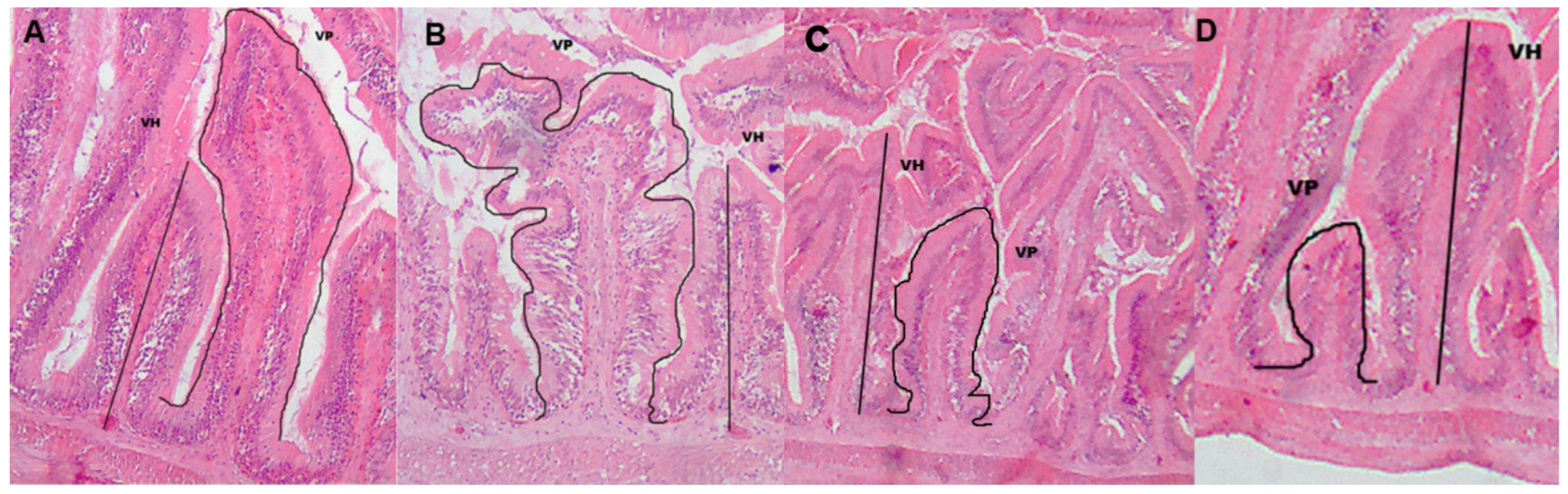 Fishes 10 00148 g002