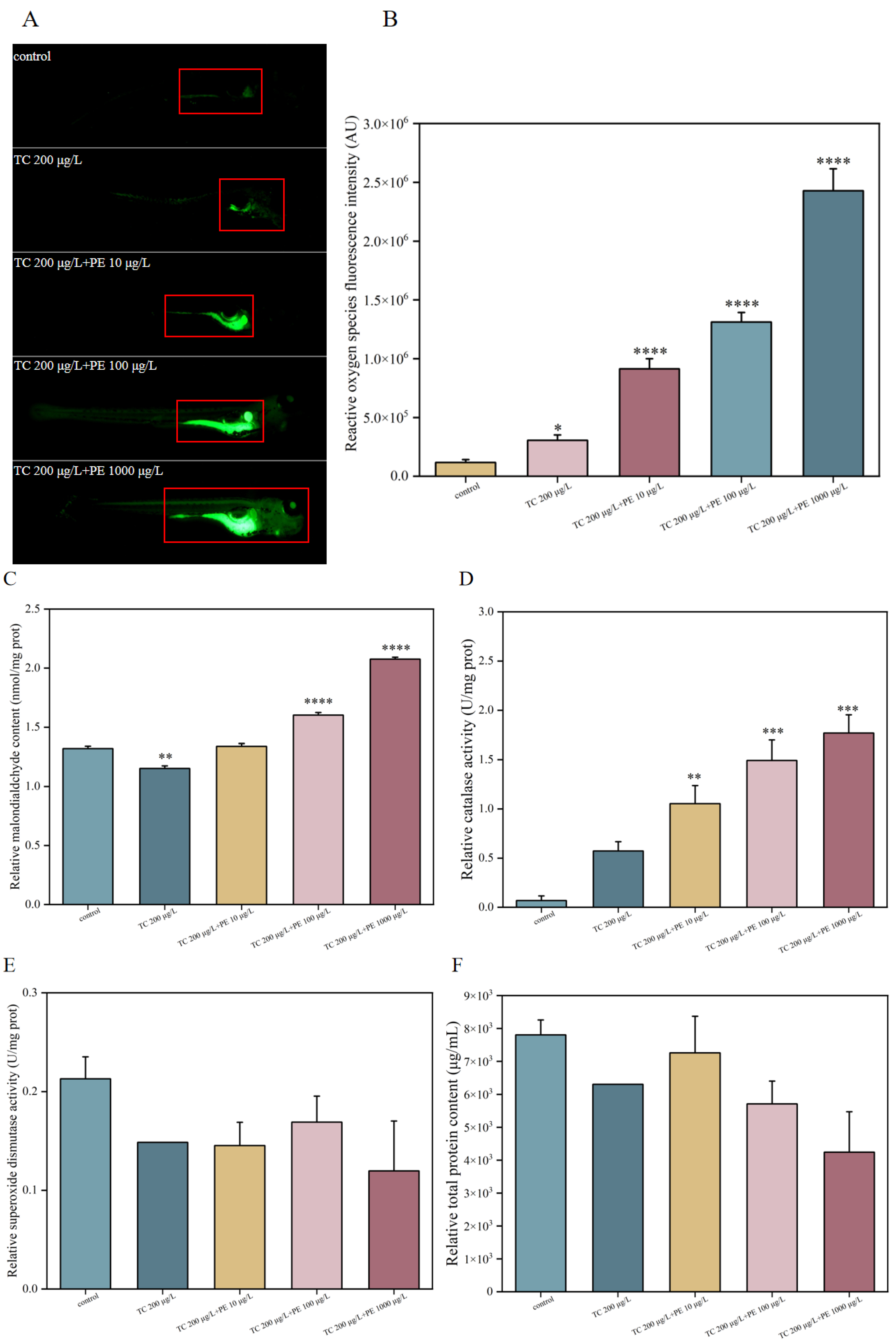 Fishes 10 00150 g004