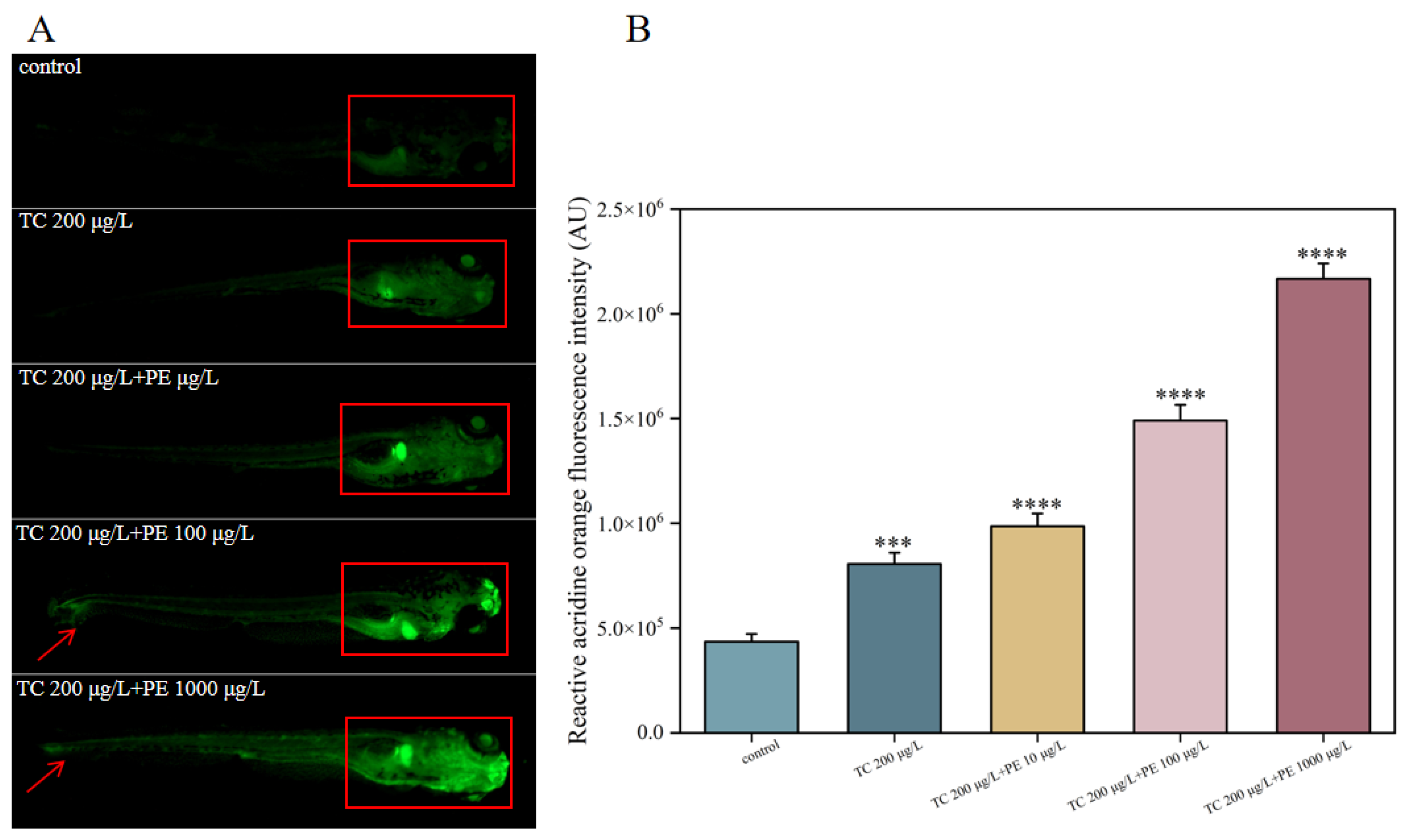 Fishes 10 00150 g005