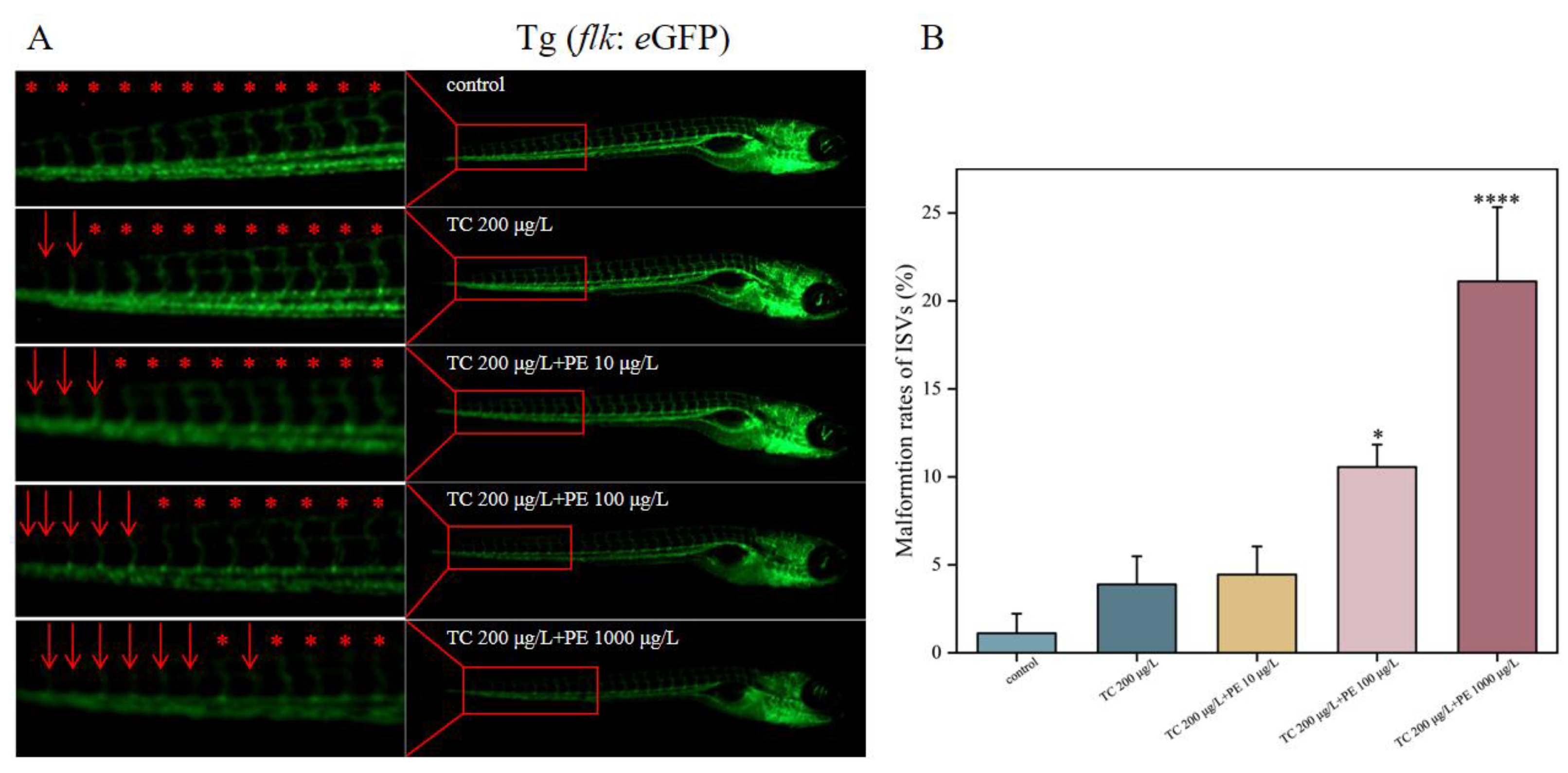 Fishes 10 00150 g006