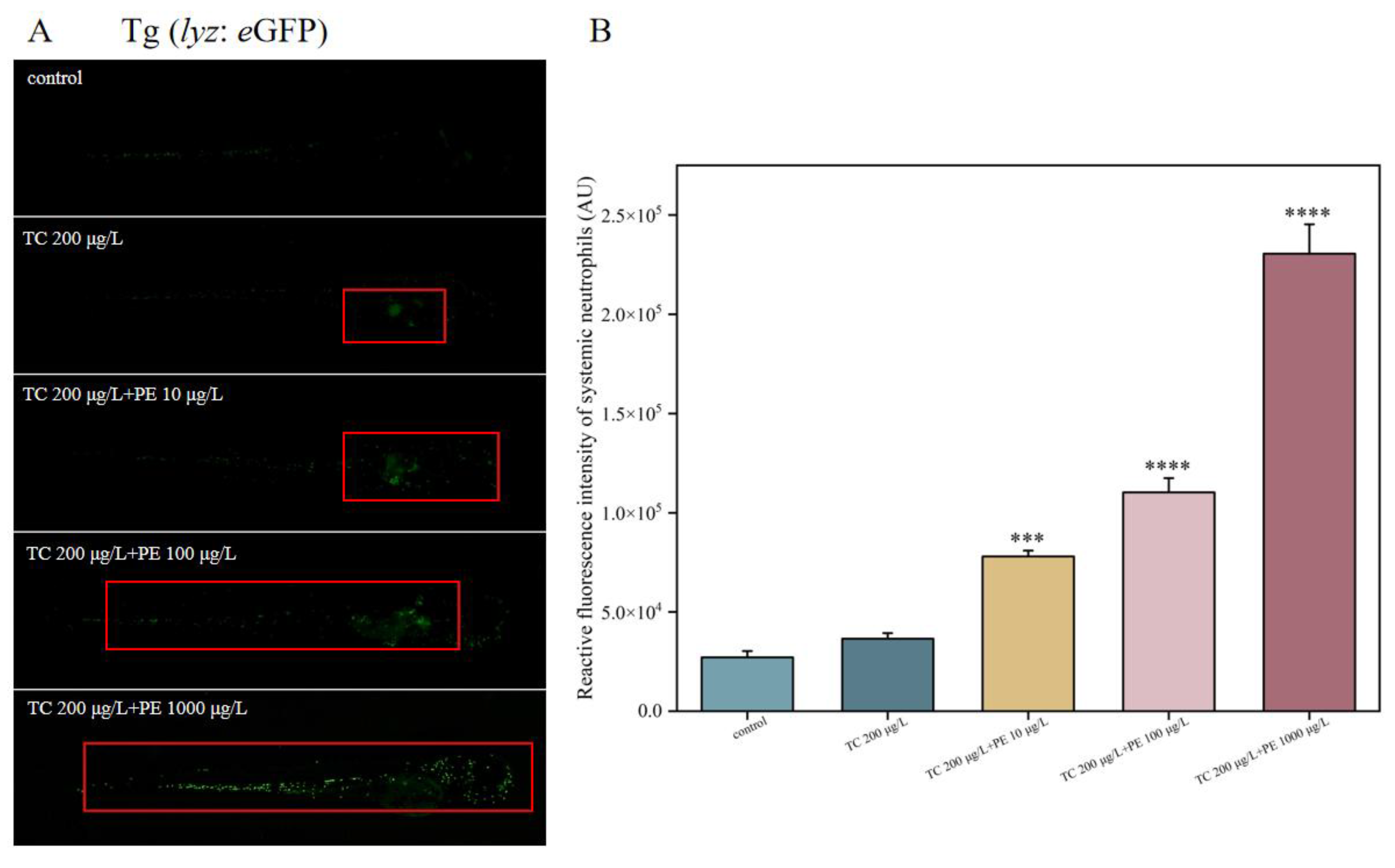 Fishes 10 00150 g007