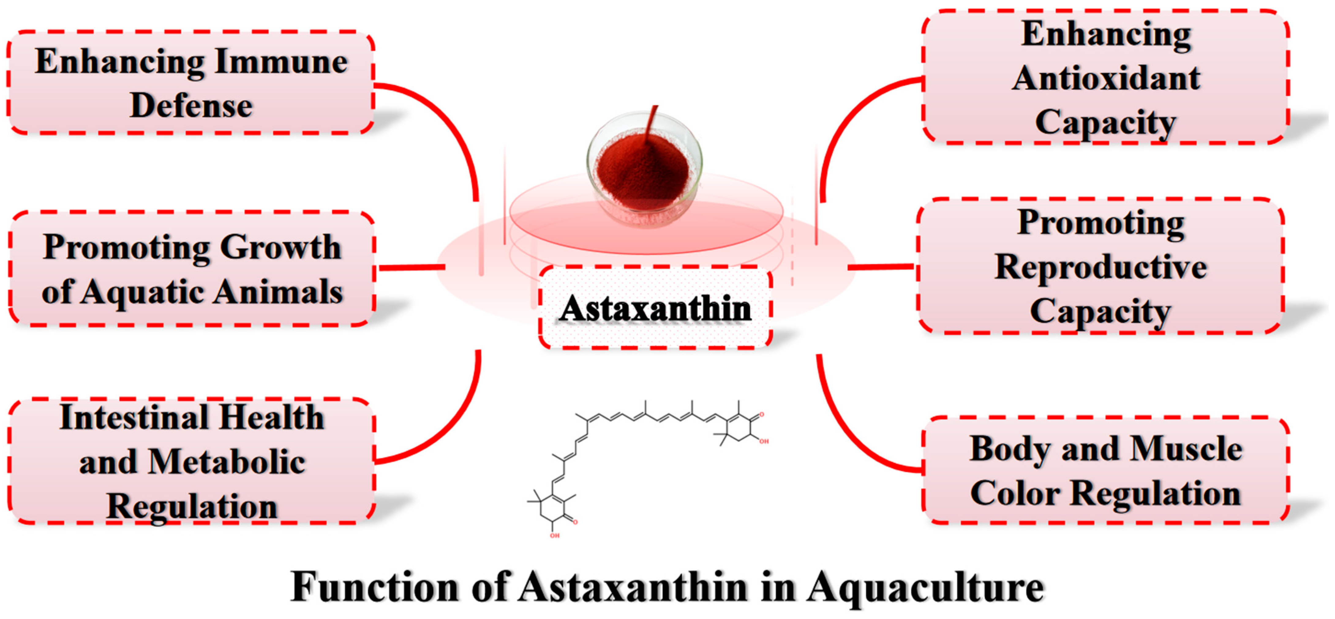 アクション Current Challenges and Issues in the Application of Astaxanthin