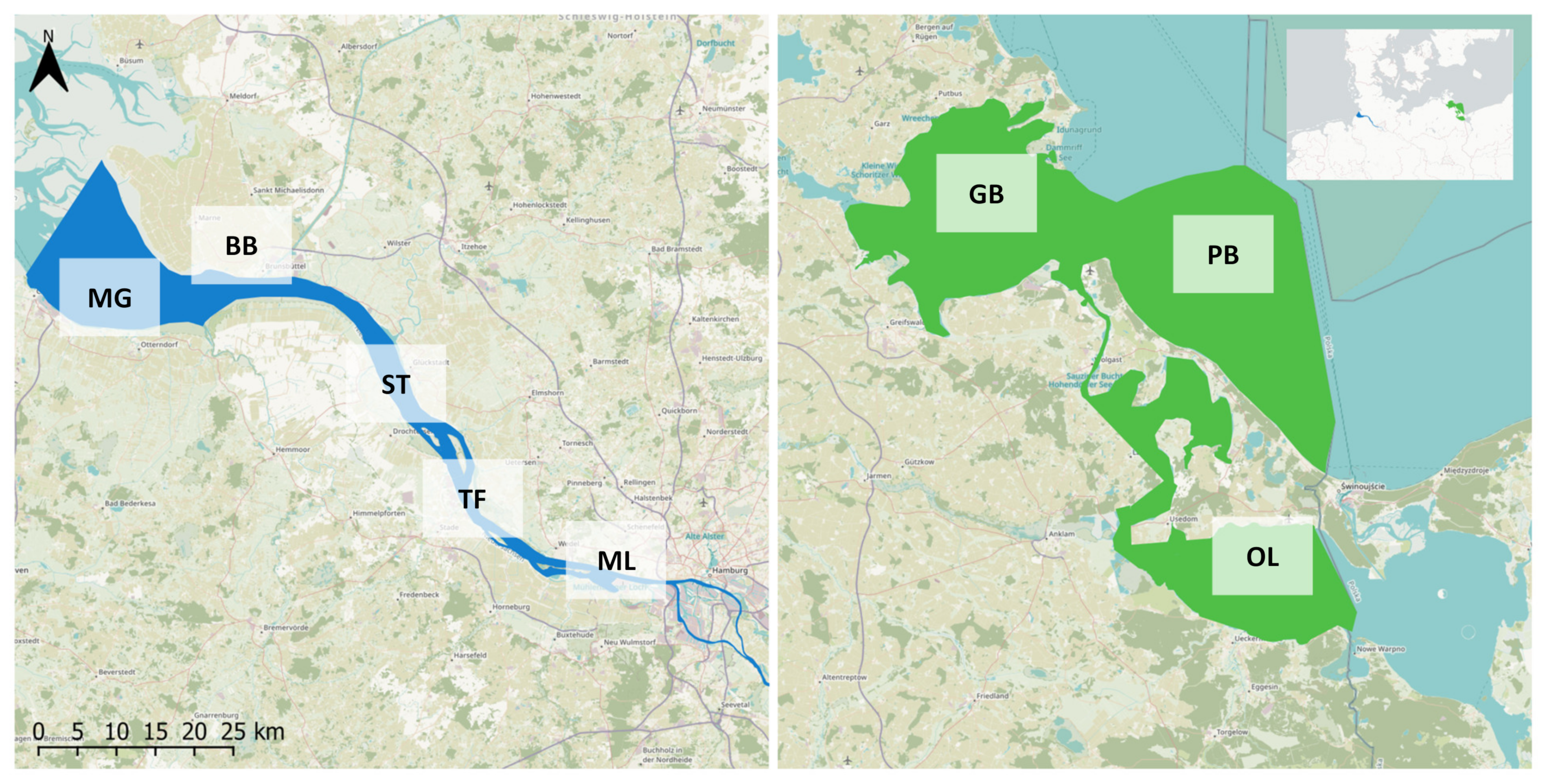 Fishes 10 00161 g001