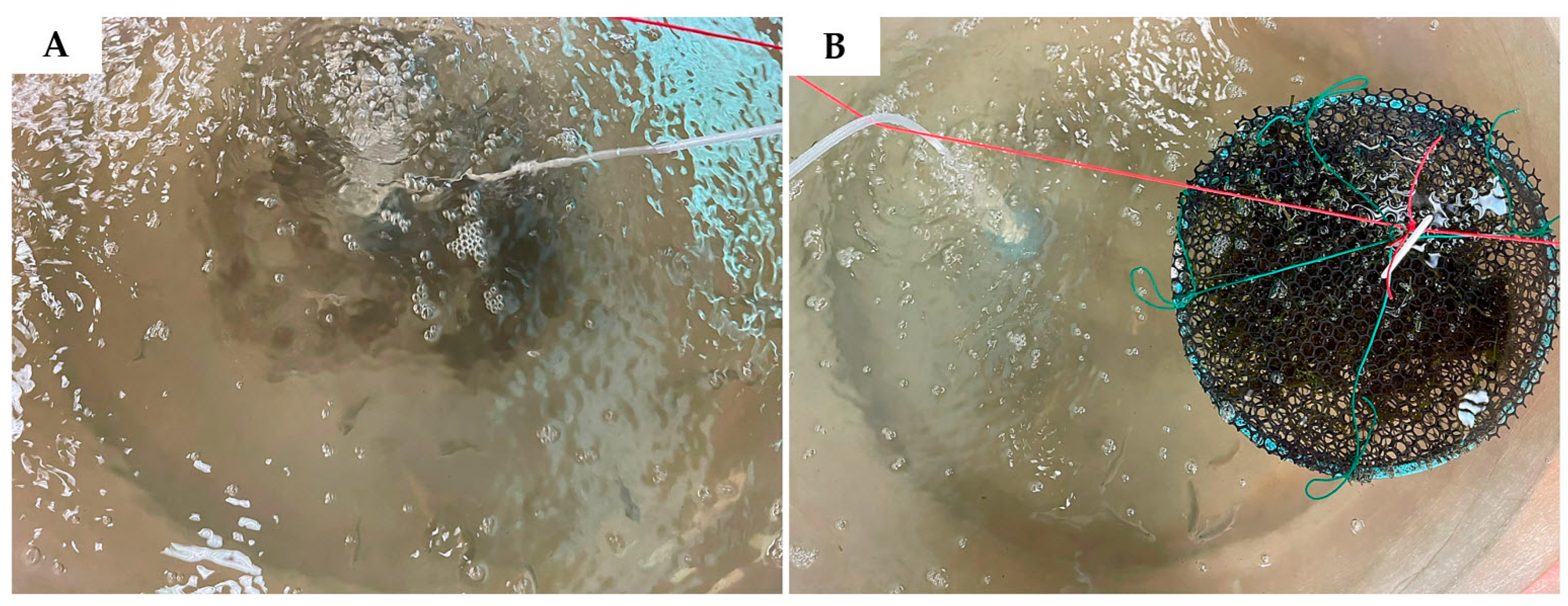 Fishes 10 00163 g001