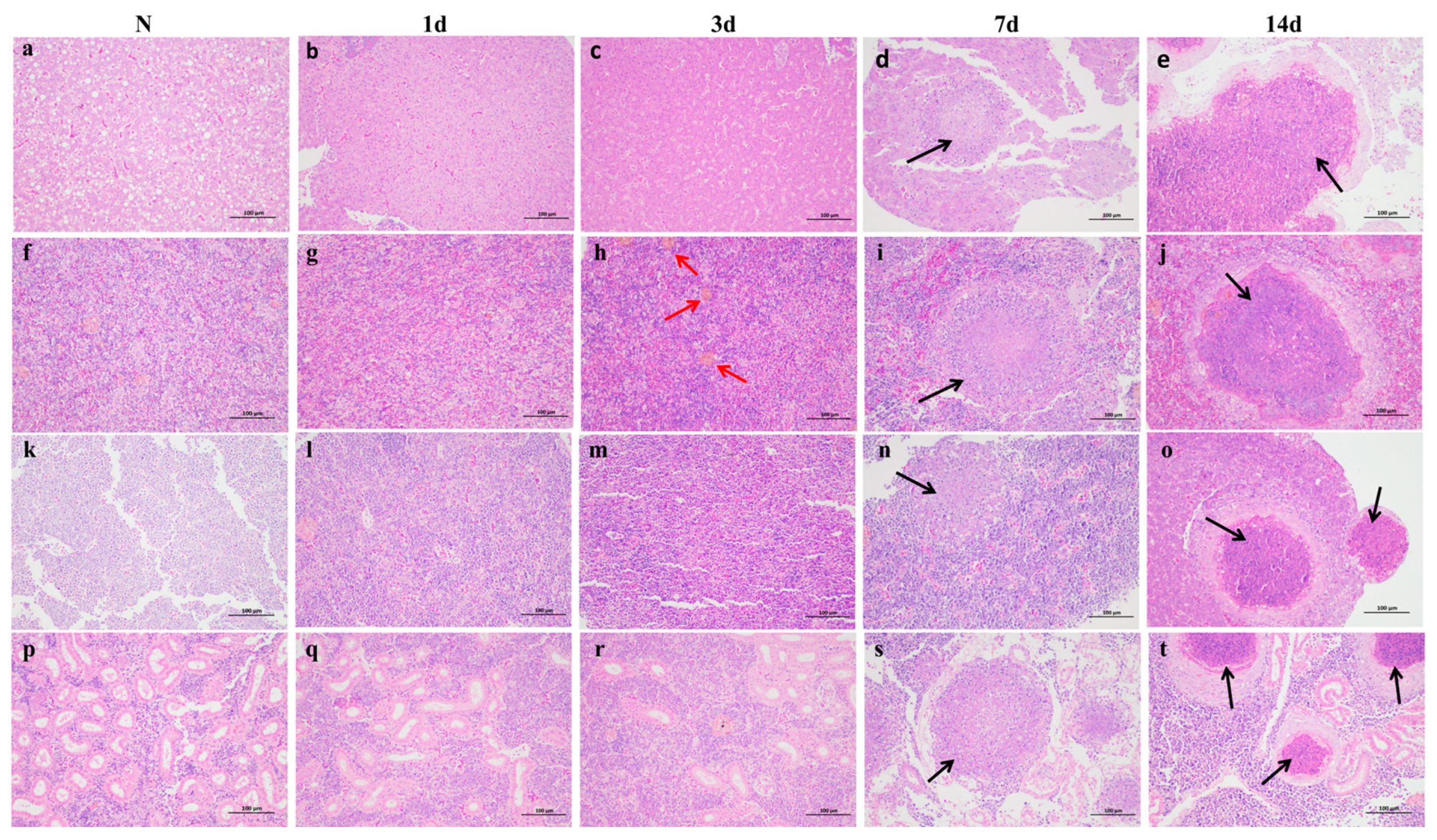 Fishes 10 00167 g002