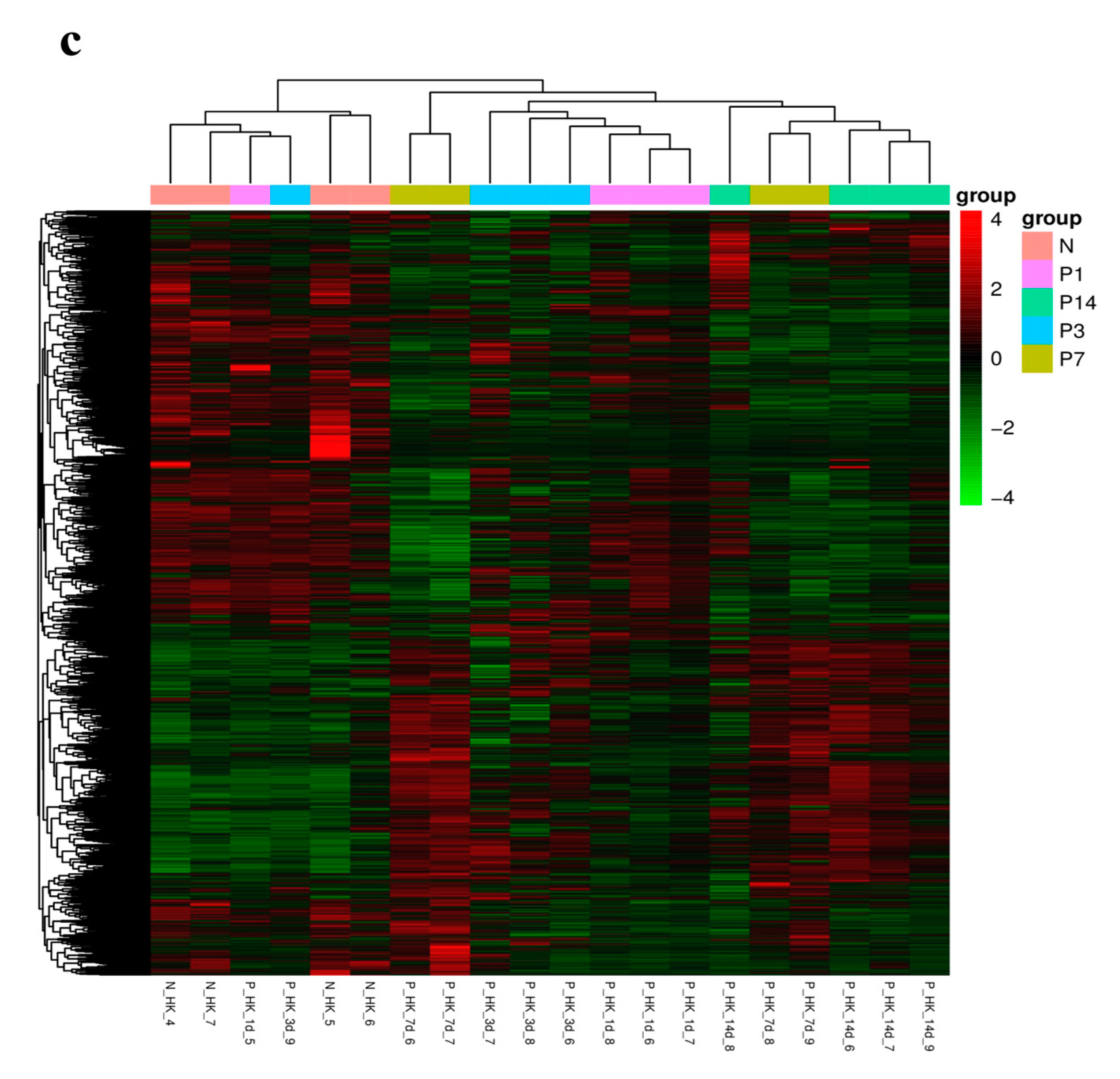 Fishes 10 00167 g003b
