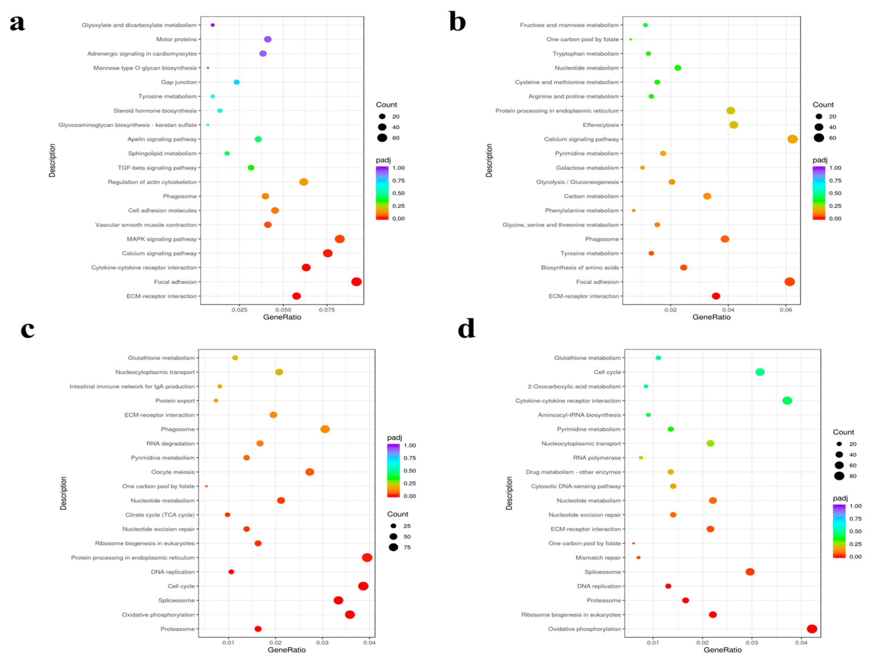 Fishes 10 00167 g006