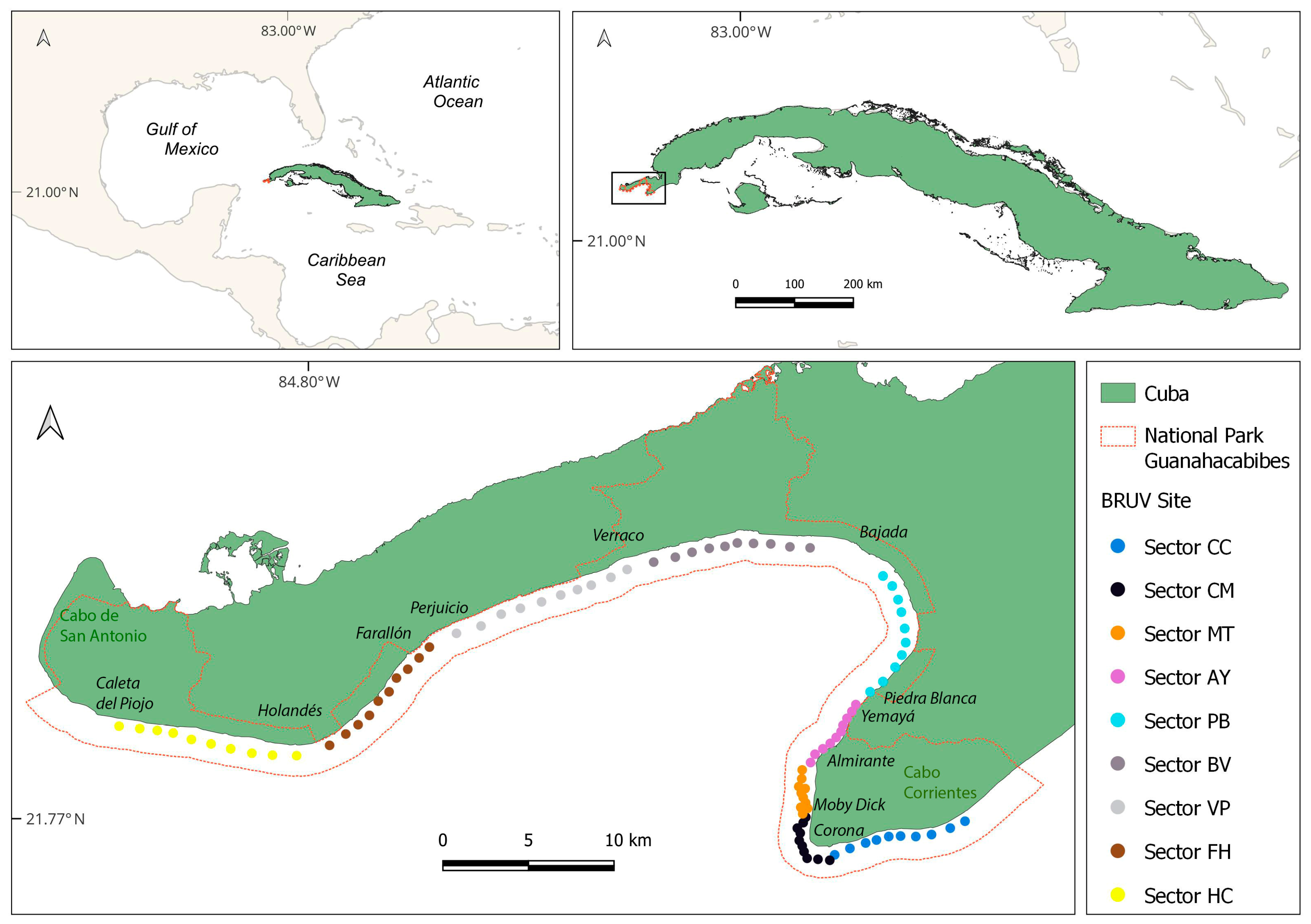 Fishes 10 00169 g001 Fishes 10 00169 g001