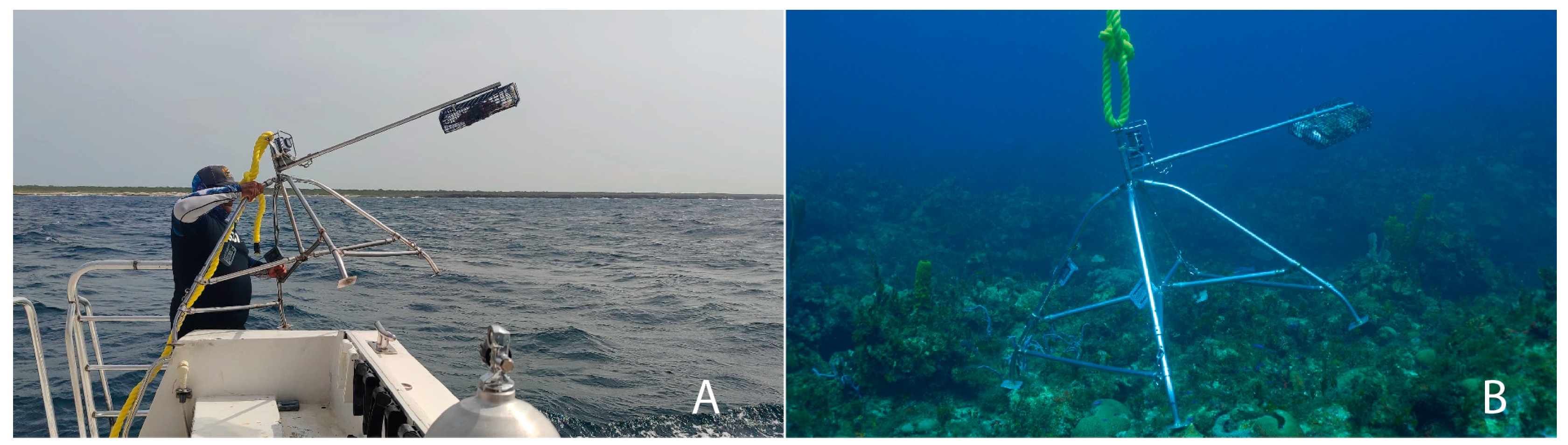 Fishes 10 00169 g002 Fishes 10 00169 g002