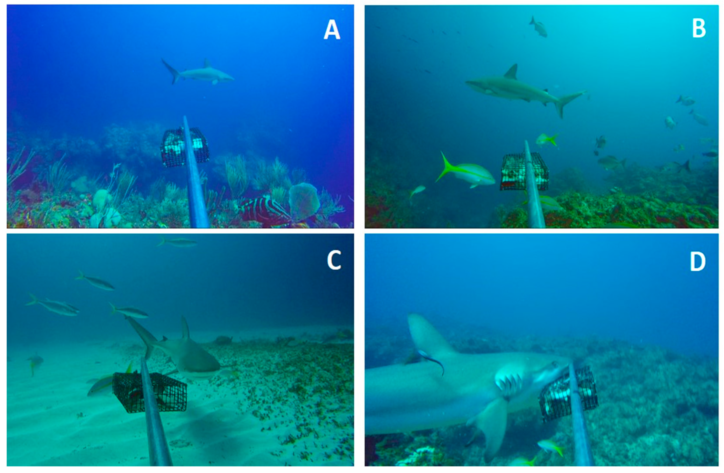 Fishes 10 00169 g010 Fishes 10 00169 g010