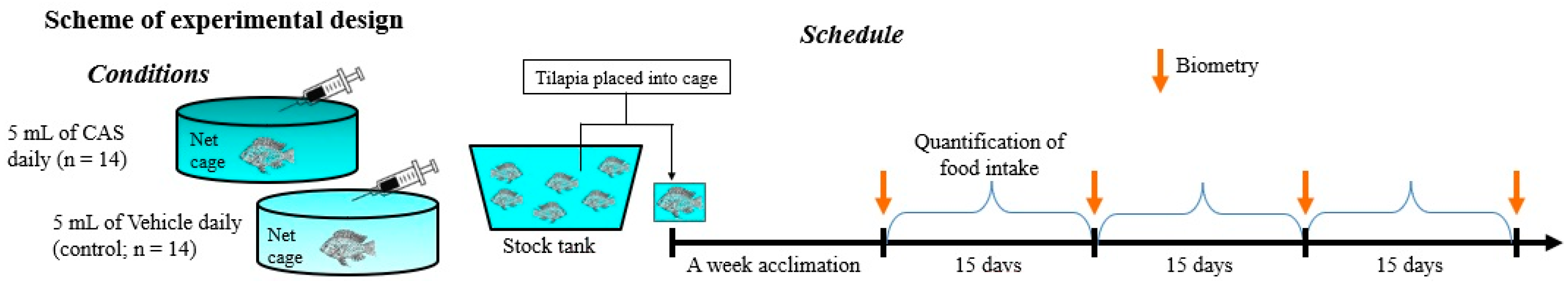 Fishes 10 00174 g001
