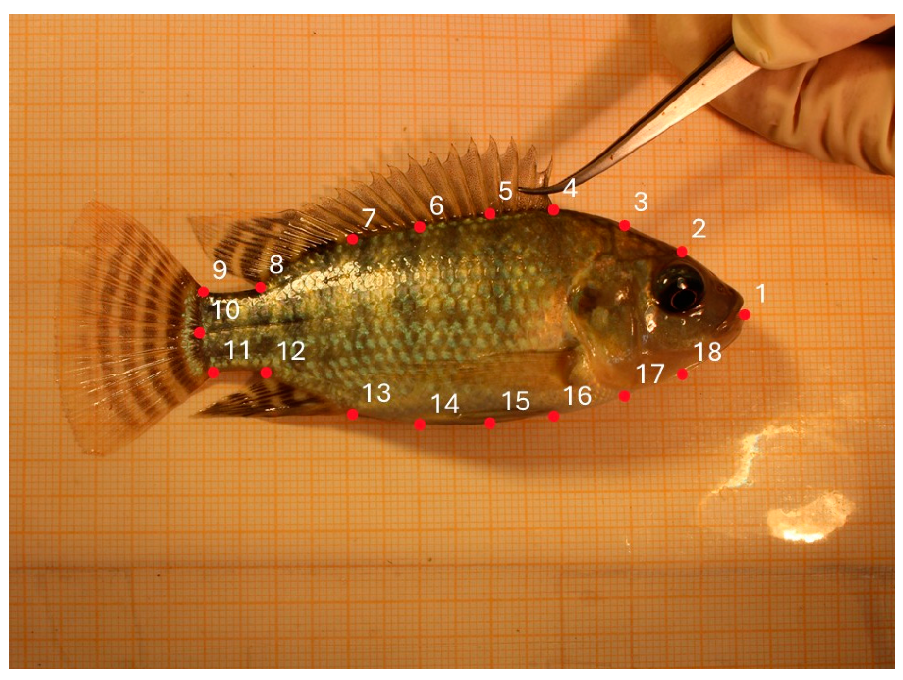 Fishes 10 00174 g002