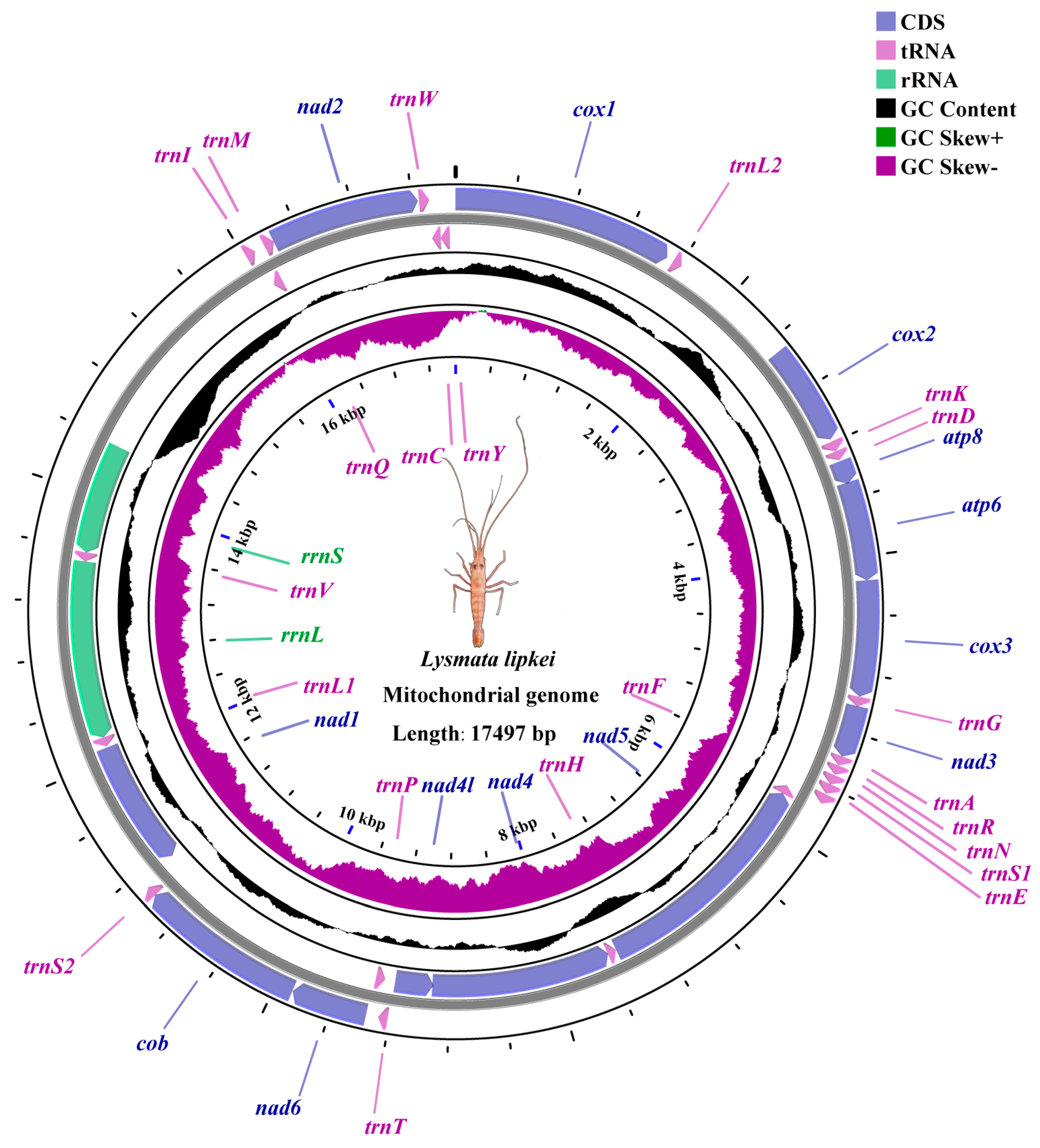 Fishes 10 00177 g001