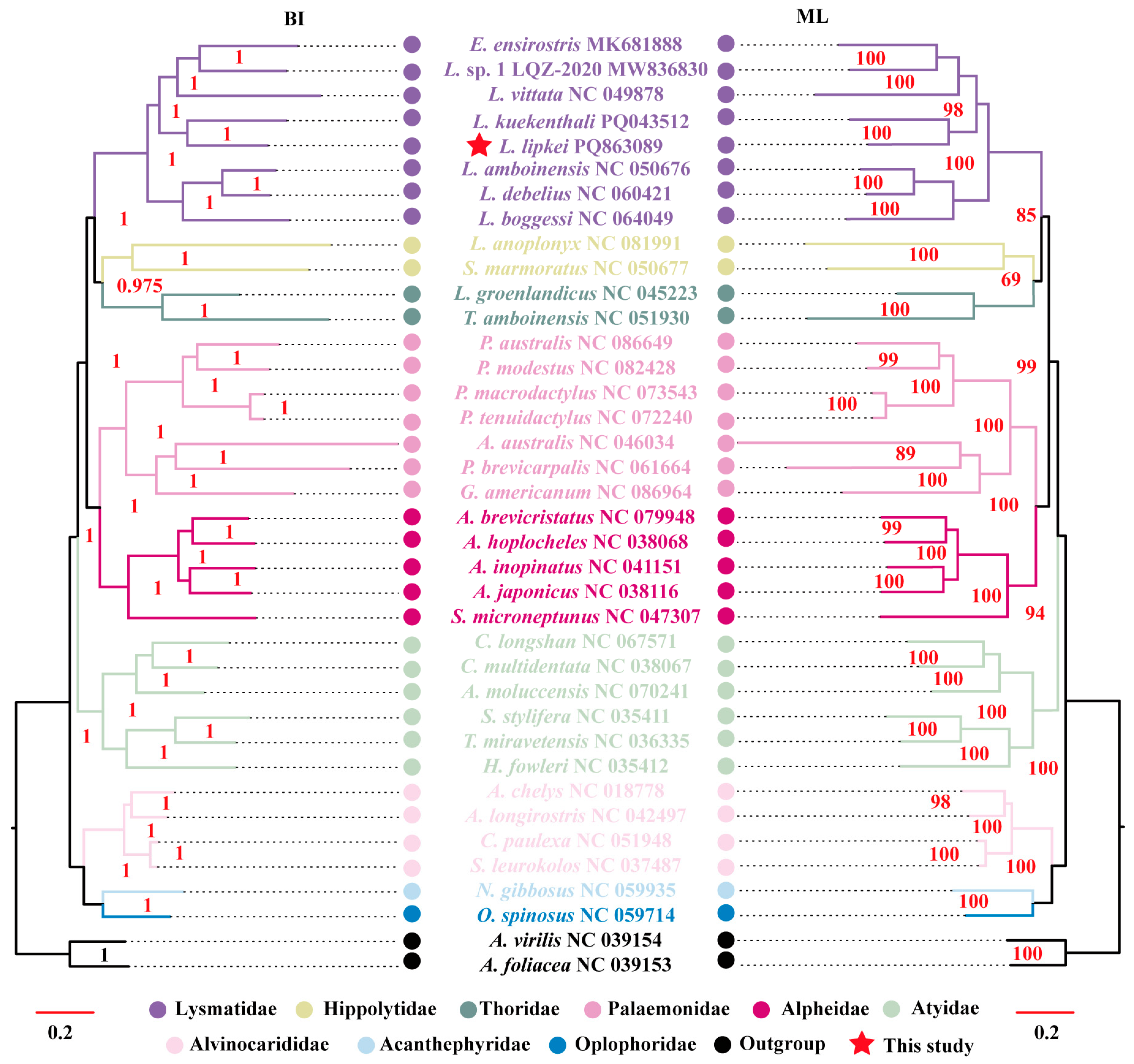 Fishes 10 00177 g006