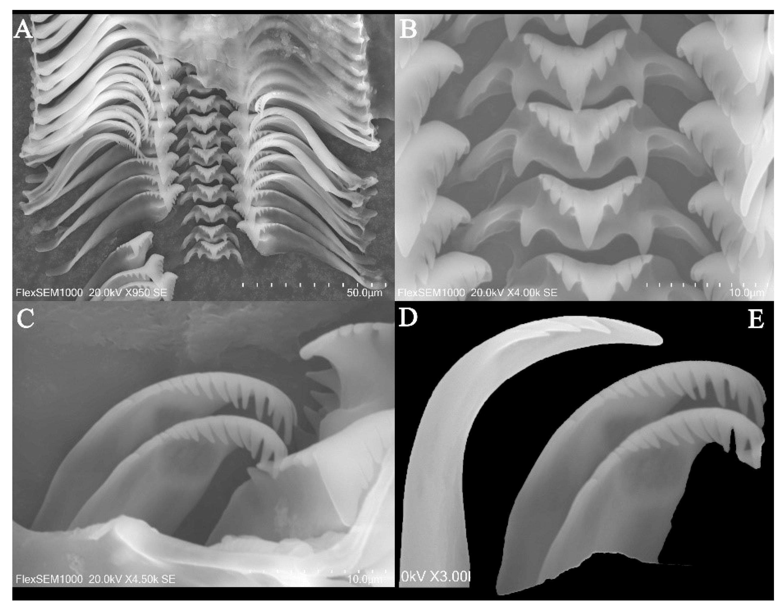 Fishes 10 00191 g002