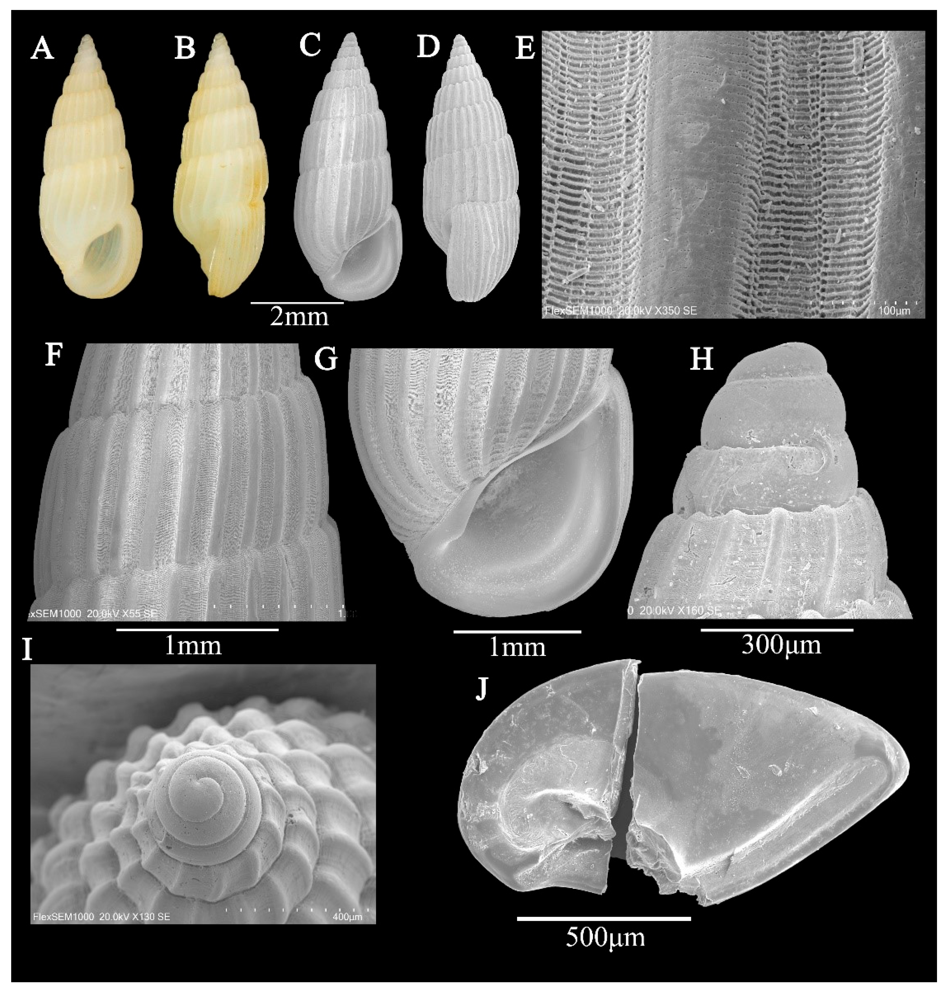 Fishes 10 00191 g003