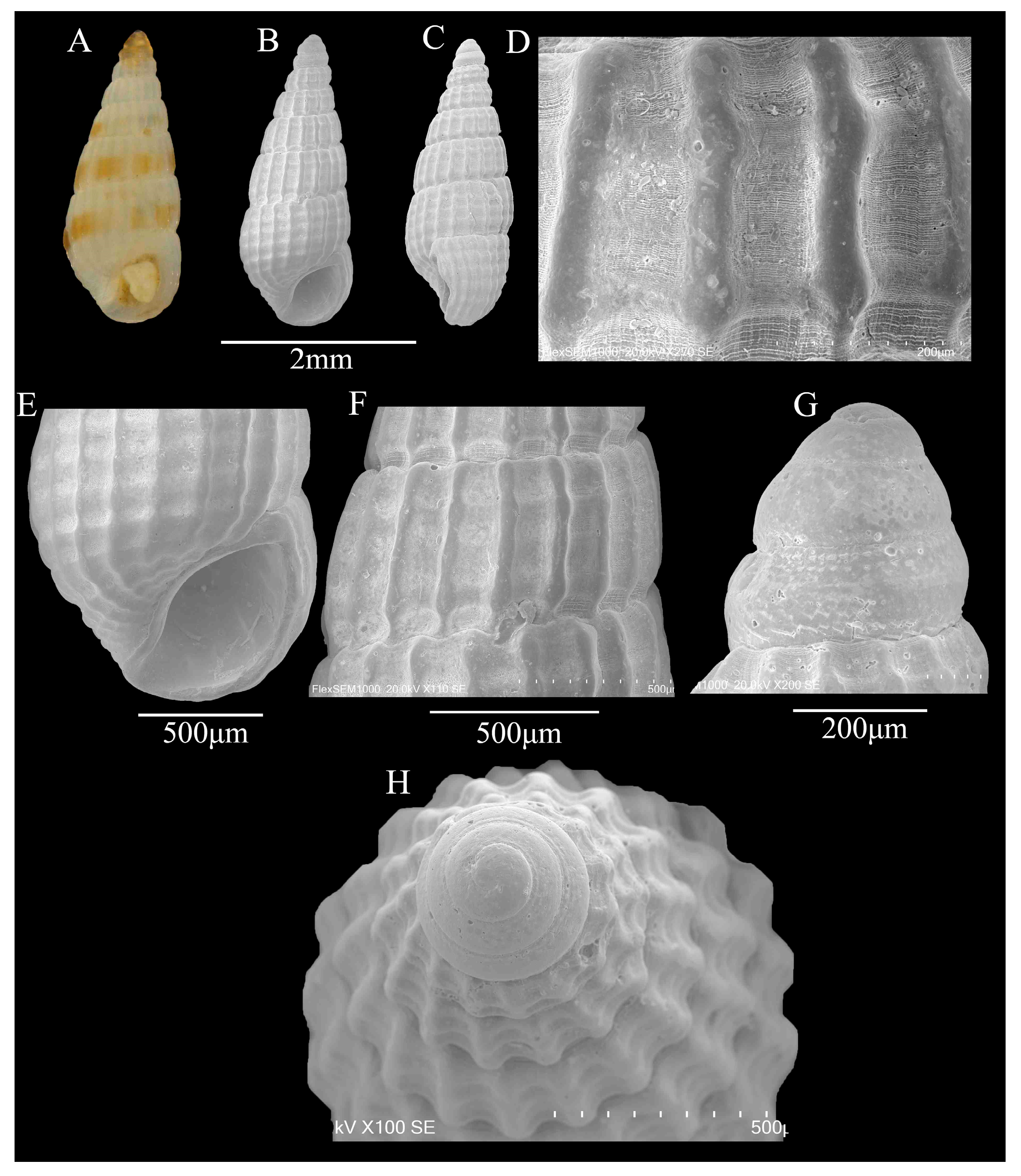 Fishes 10 00191 g004