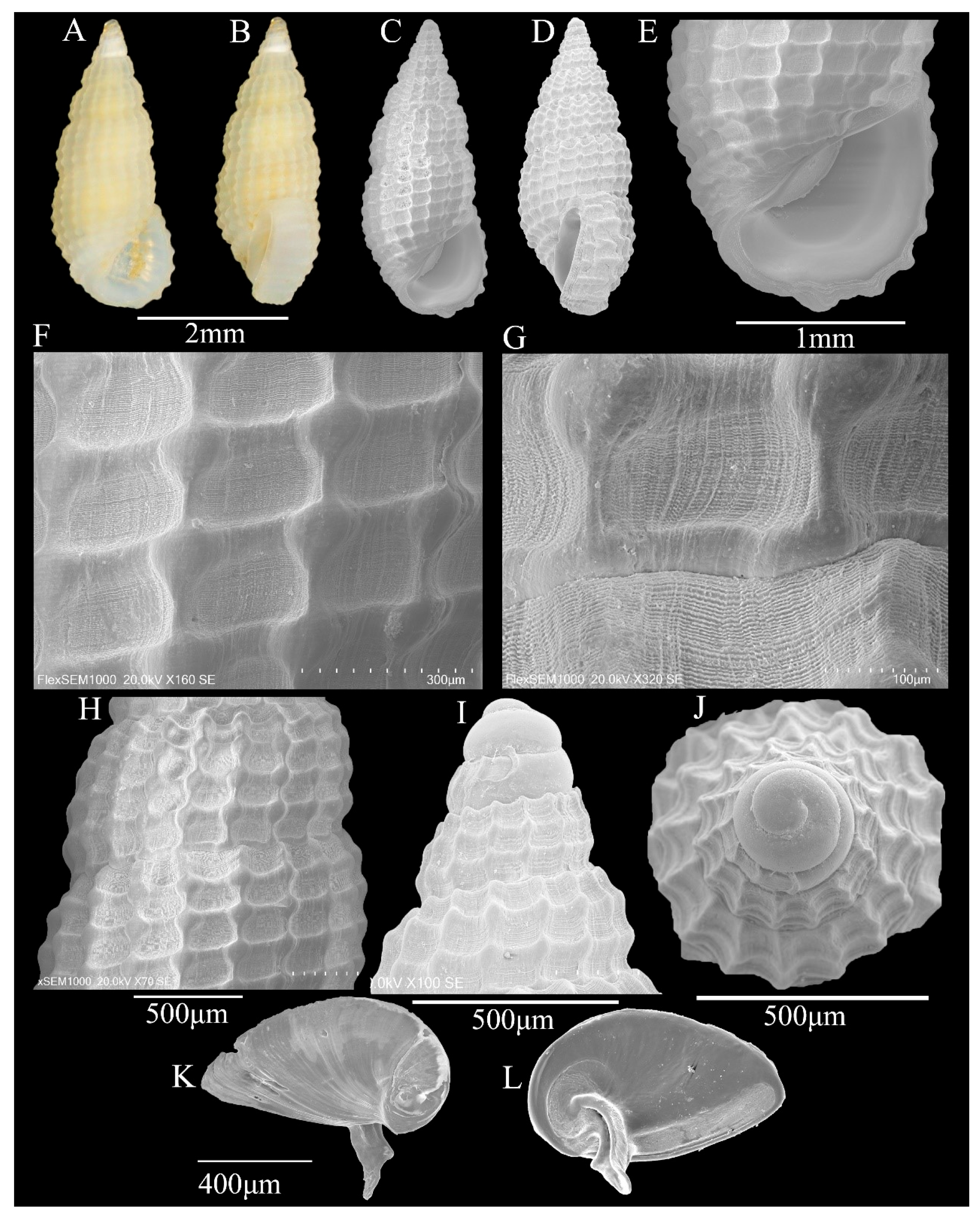 Fishes 10 00191 g005