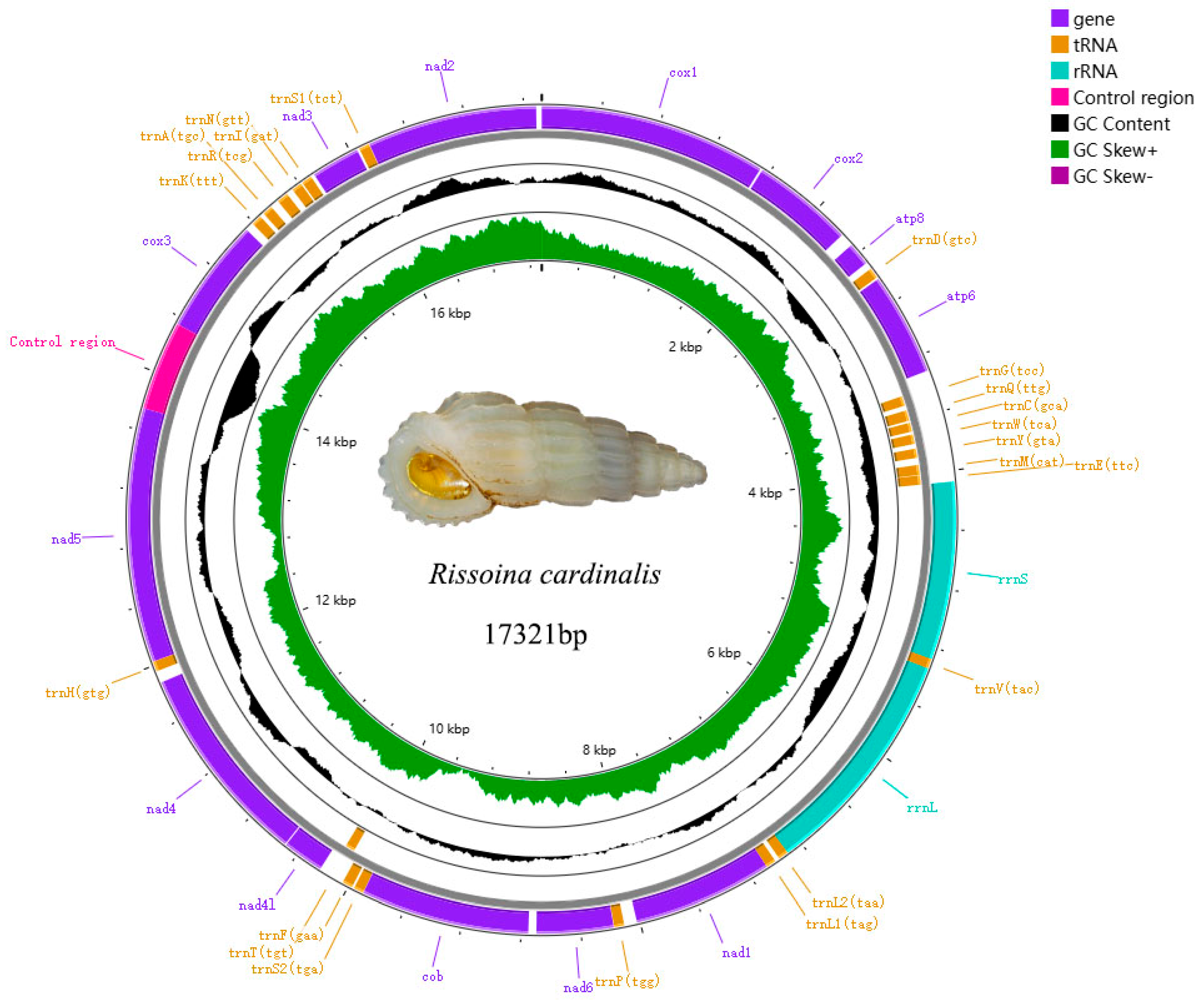 Fishes 10 00191 g006