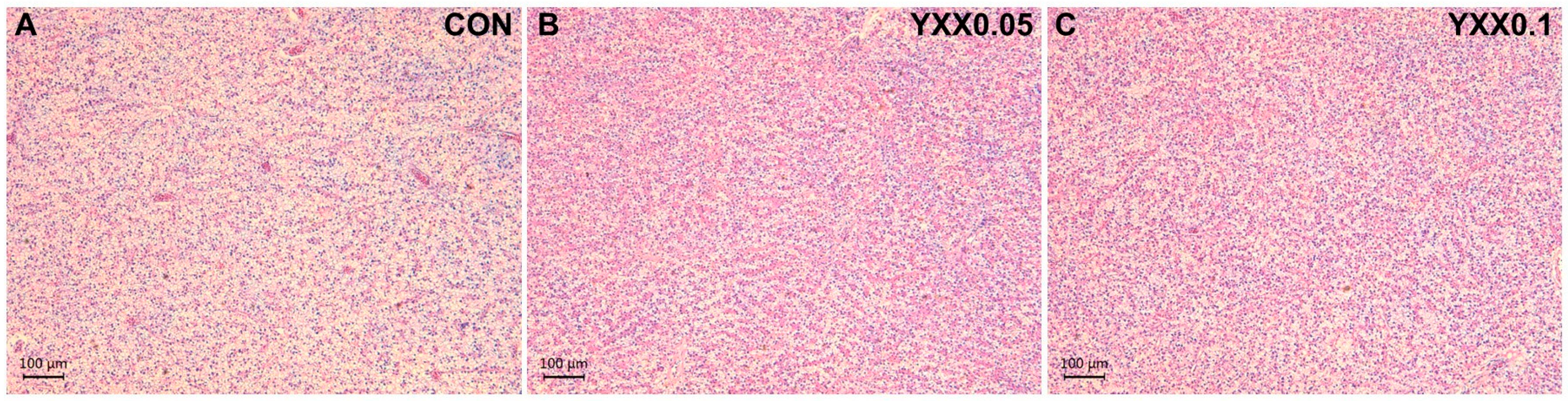 Fishes 10 00195 g001