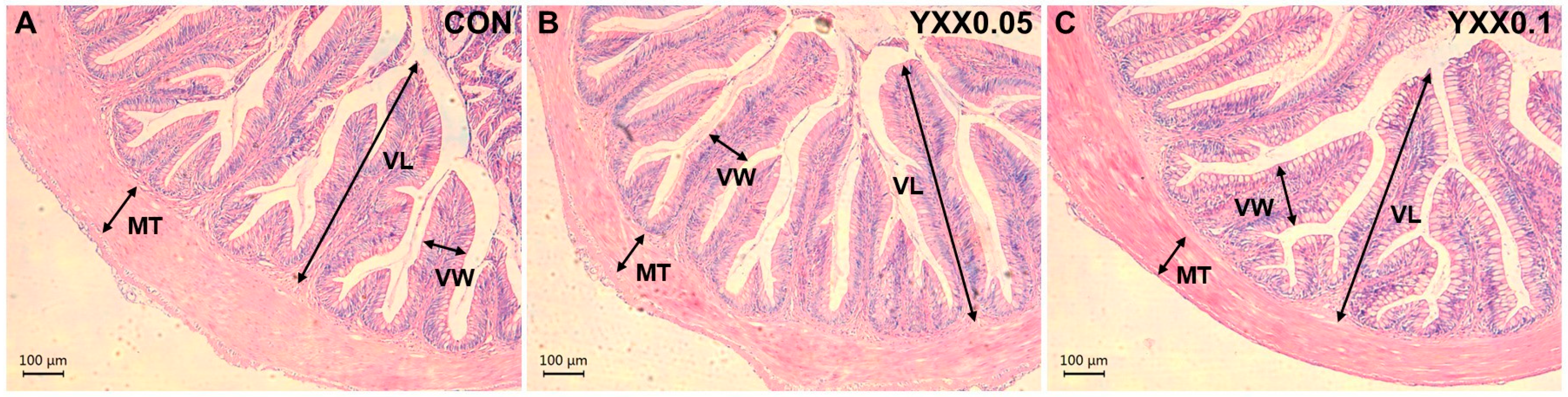 Fishes 10 00195 g002