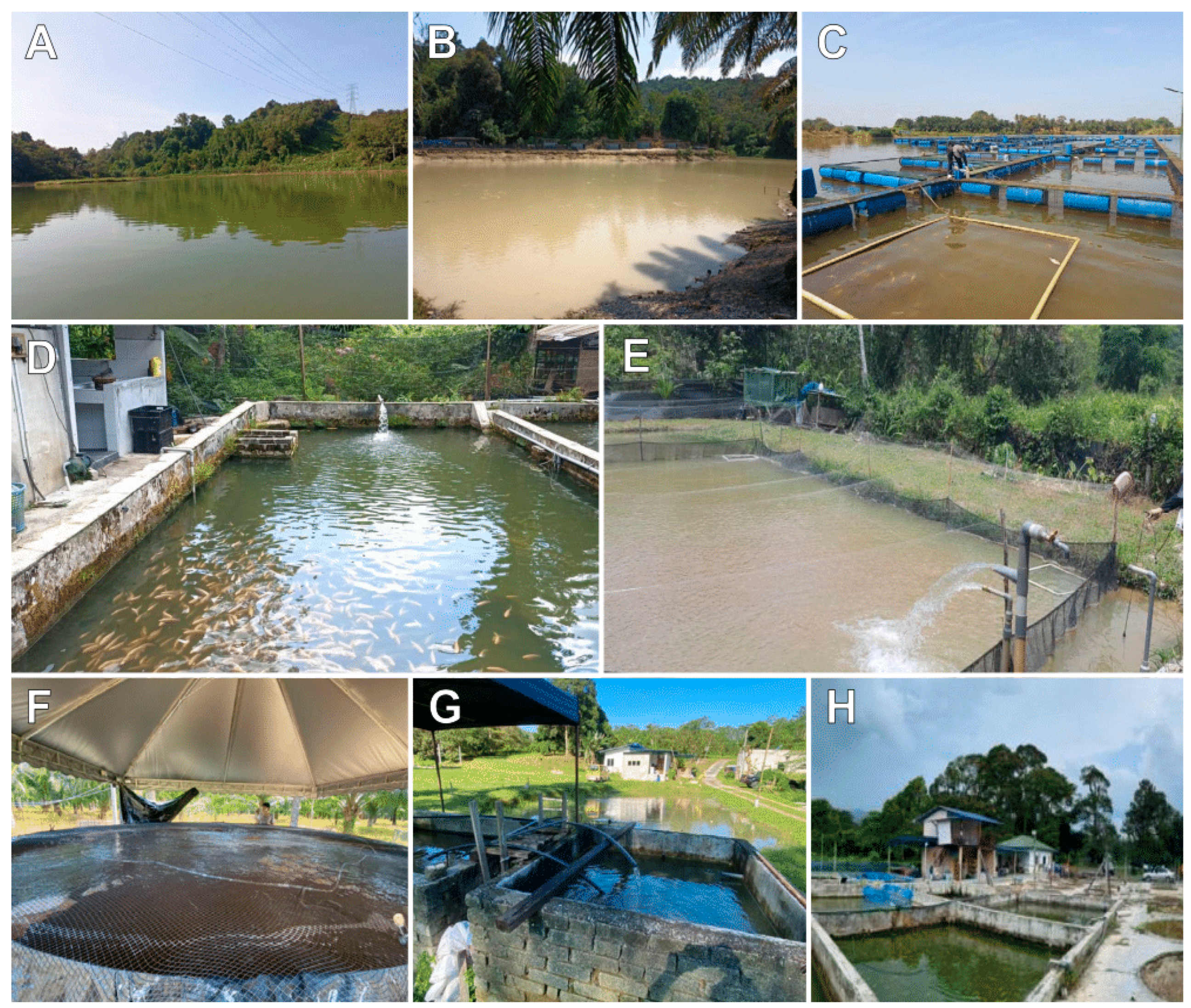 Fishes 10 00204 g001