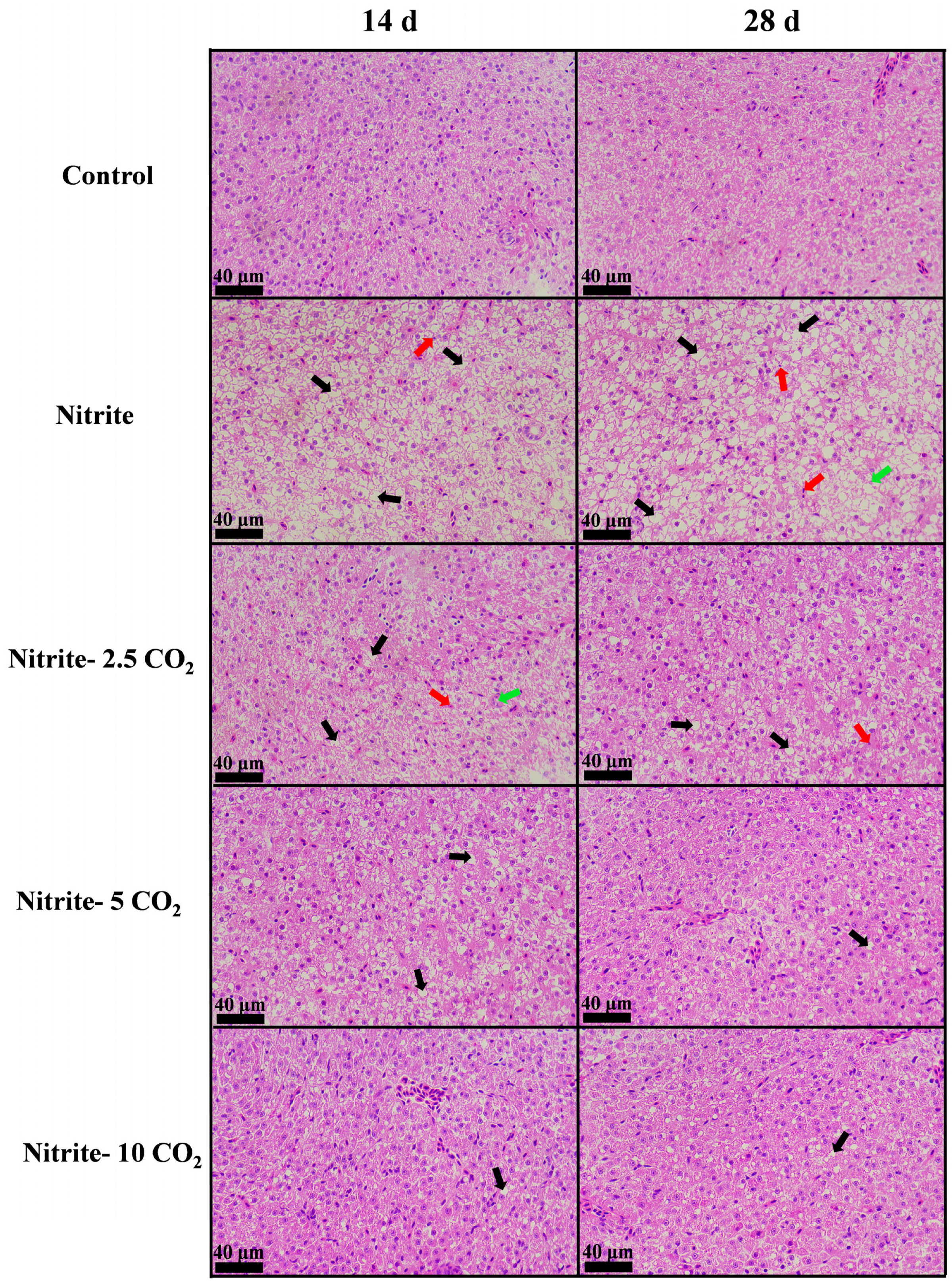 Fishes 10 00205 g006 Fishes 10 00205 g006