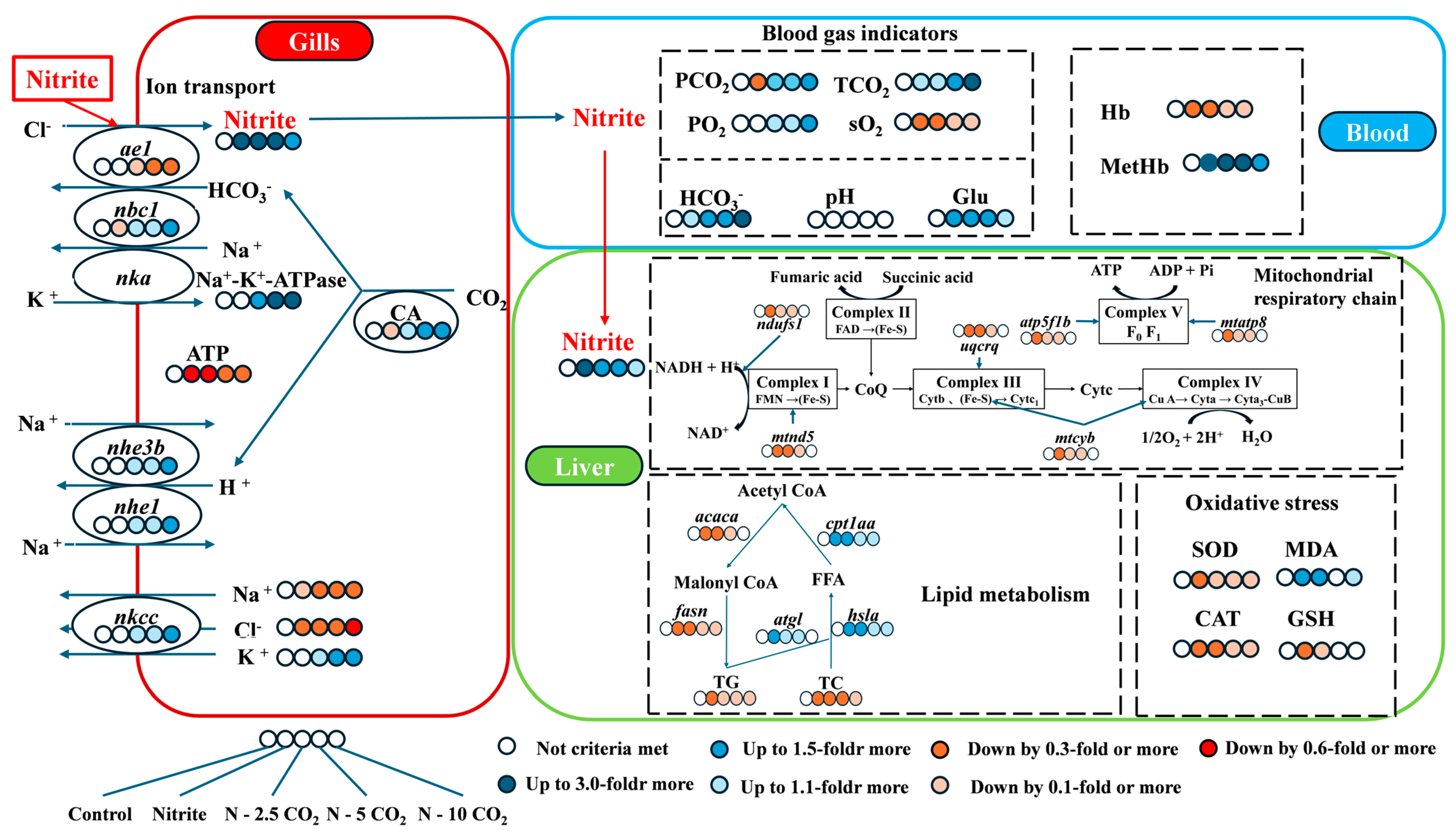 Fishes 10 00205 g010 Fishes 10 00205 g010