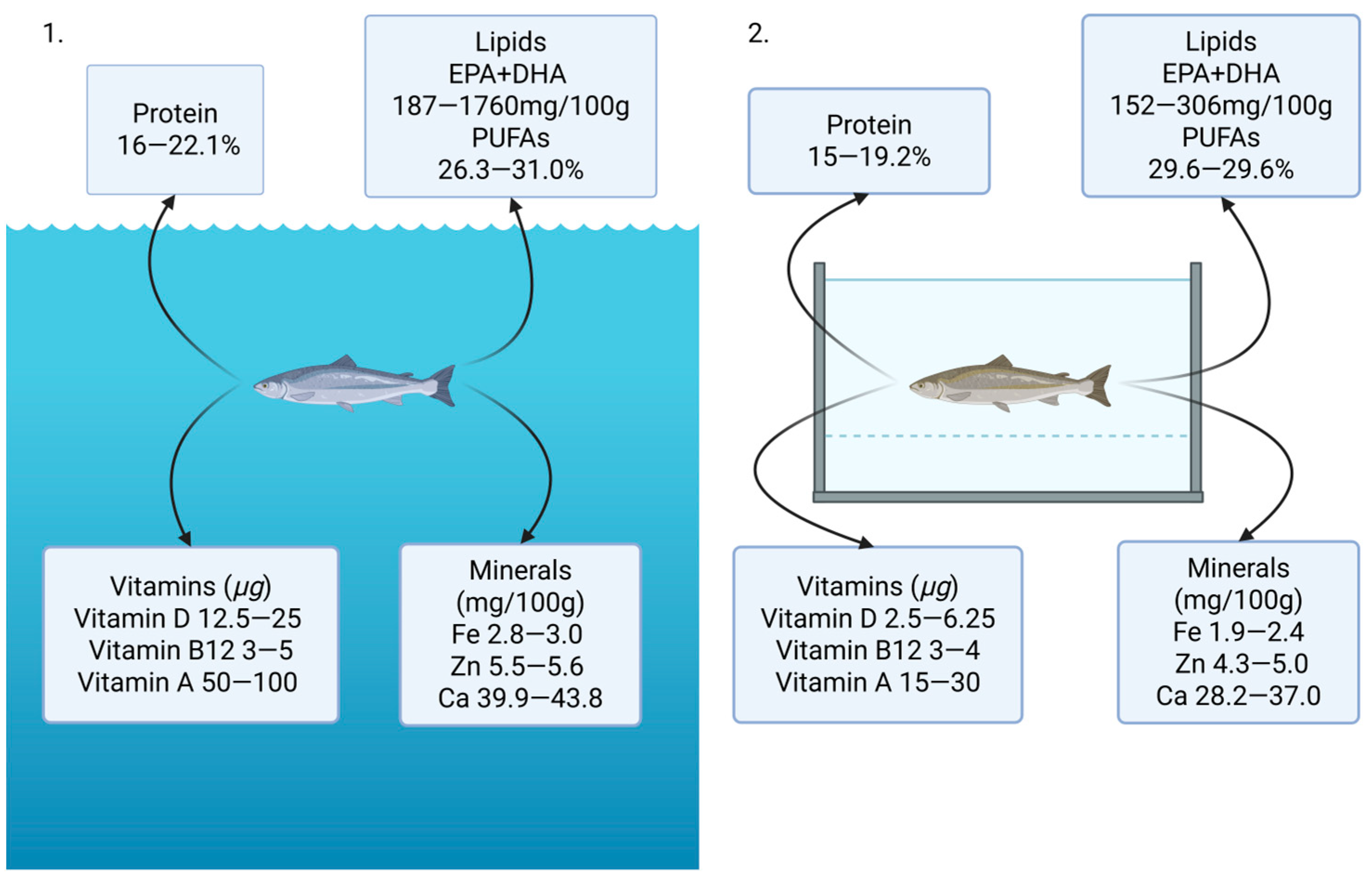 Fishes 10 00206 g001