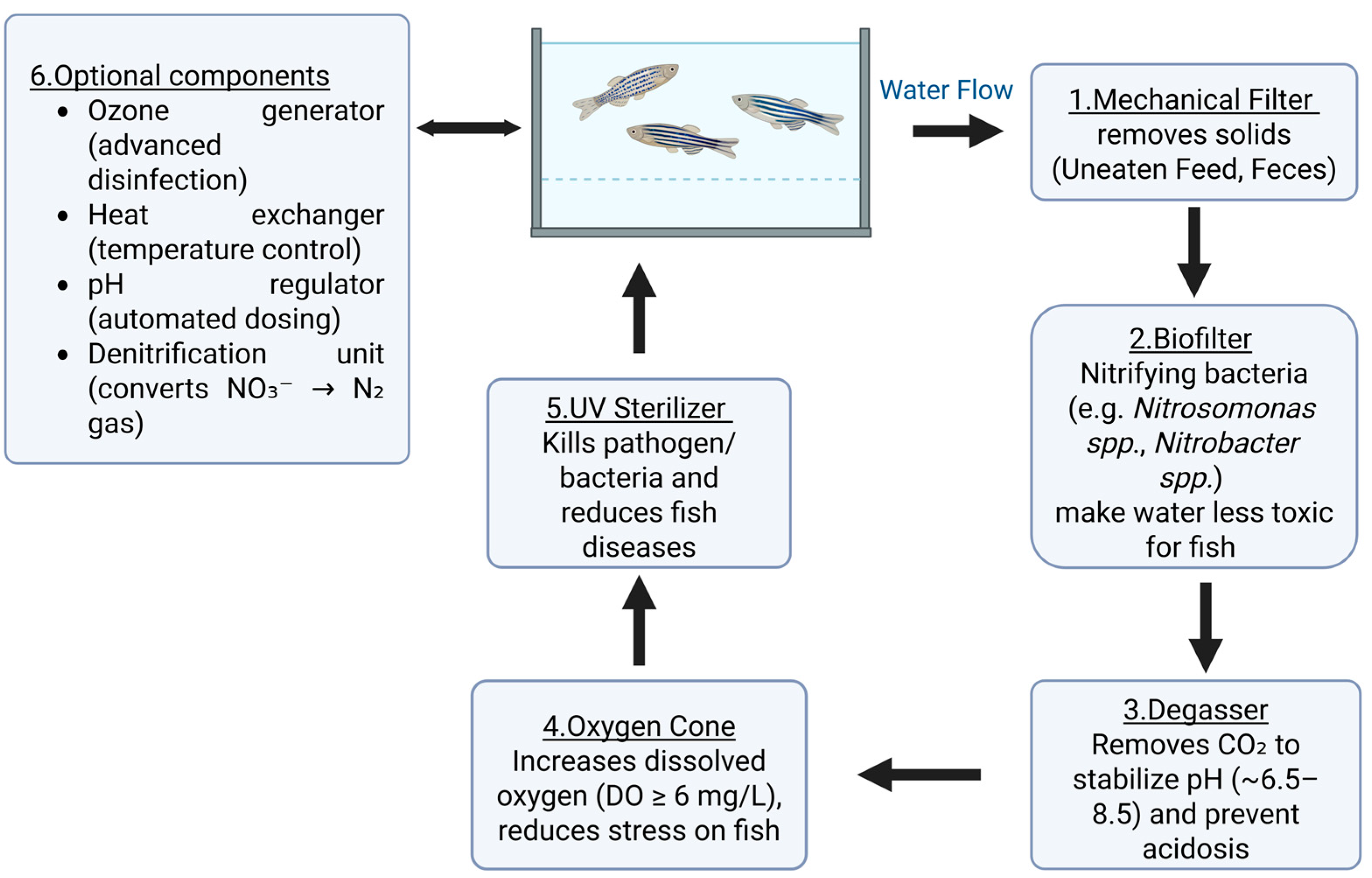 Fishes 10 00206 g002