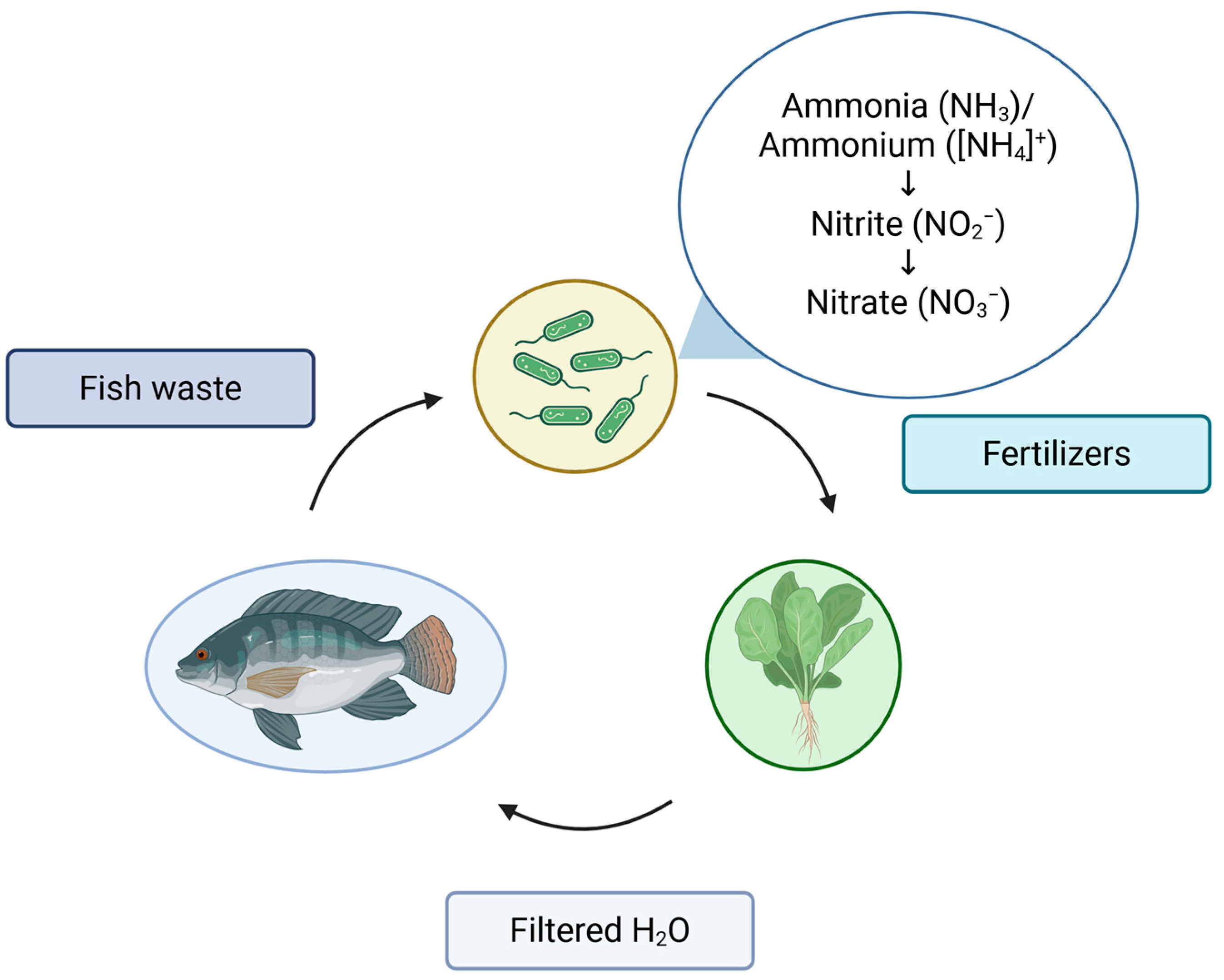 Fishes 10 00206 g003
