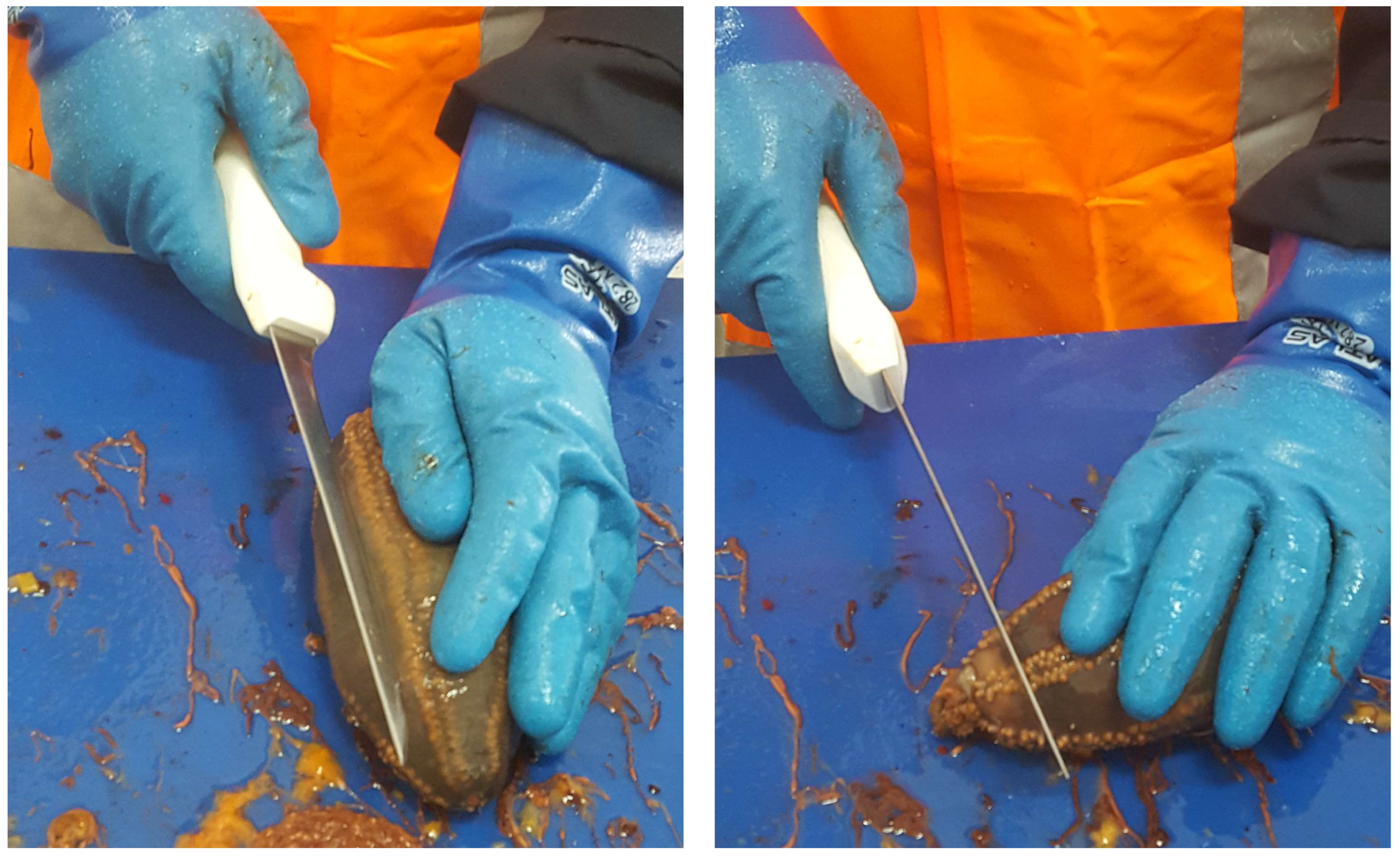 Fishes 10 00212 g002