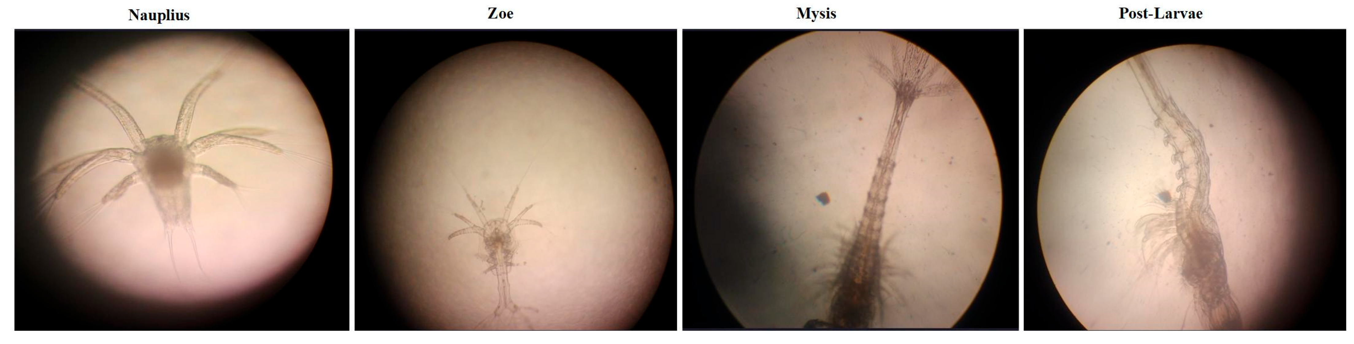 Fishes 10 00218 g005