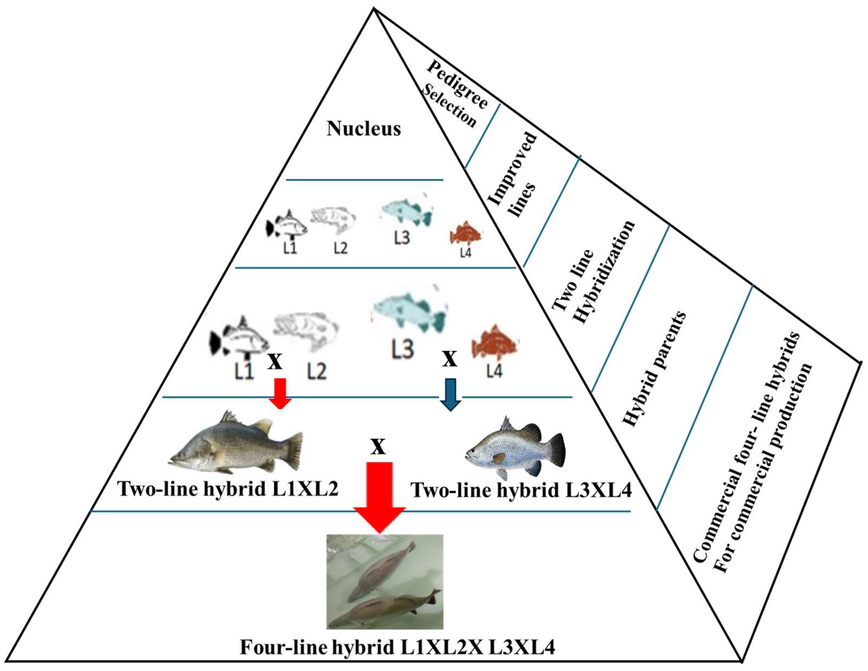 Fishes 10 00220 g001