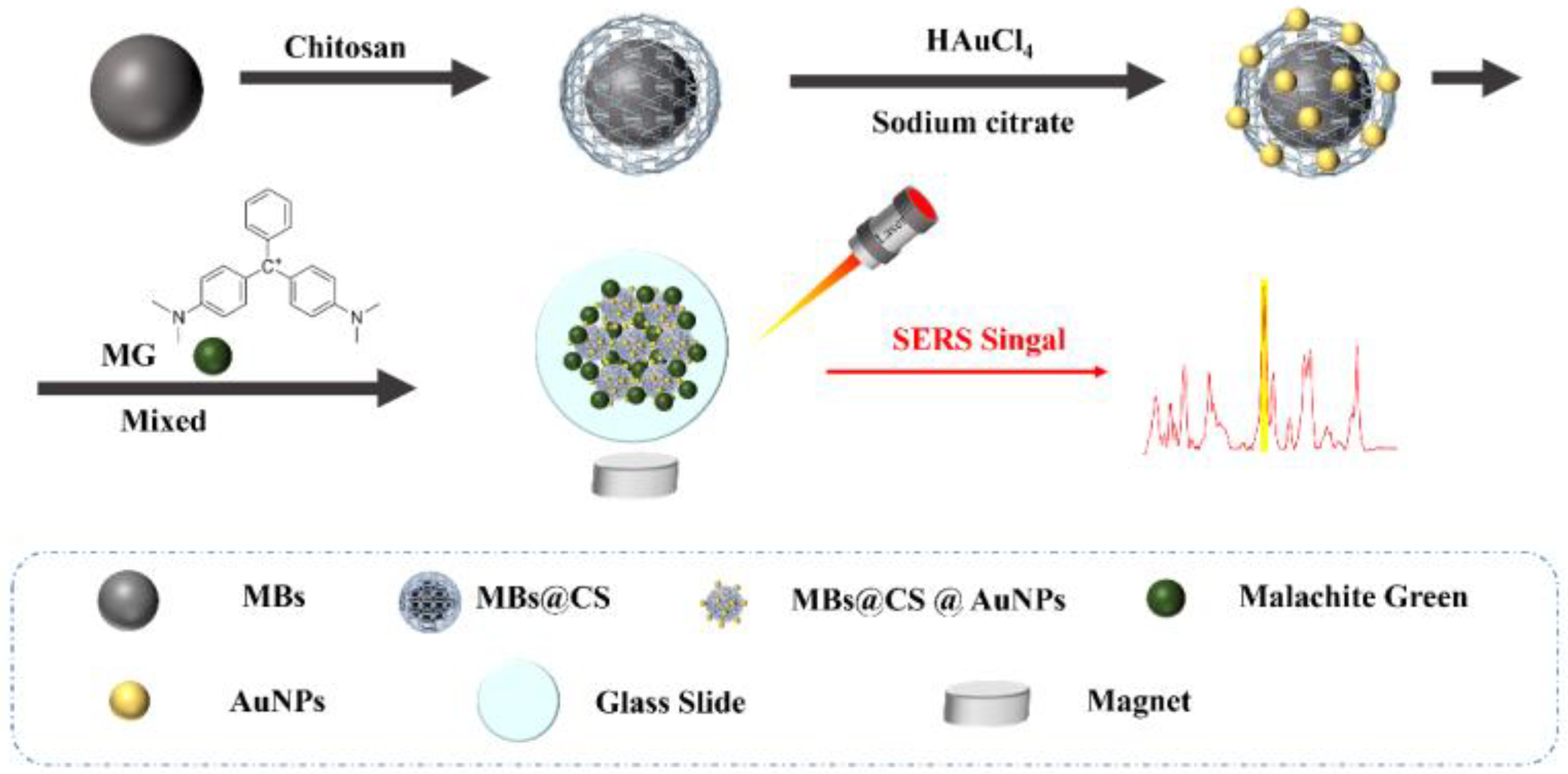 Fishes 10 00221 g001