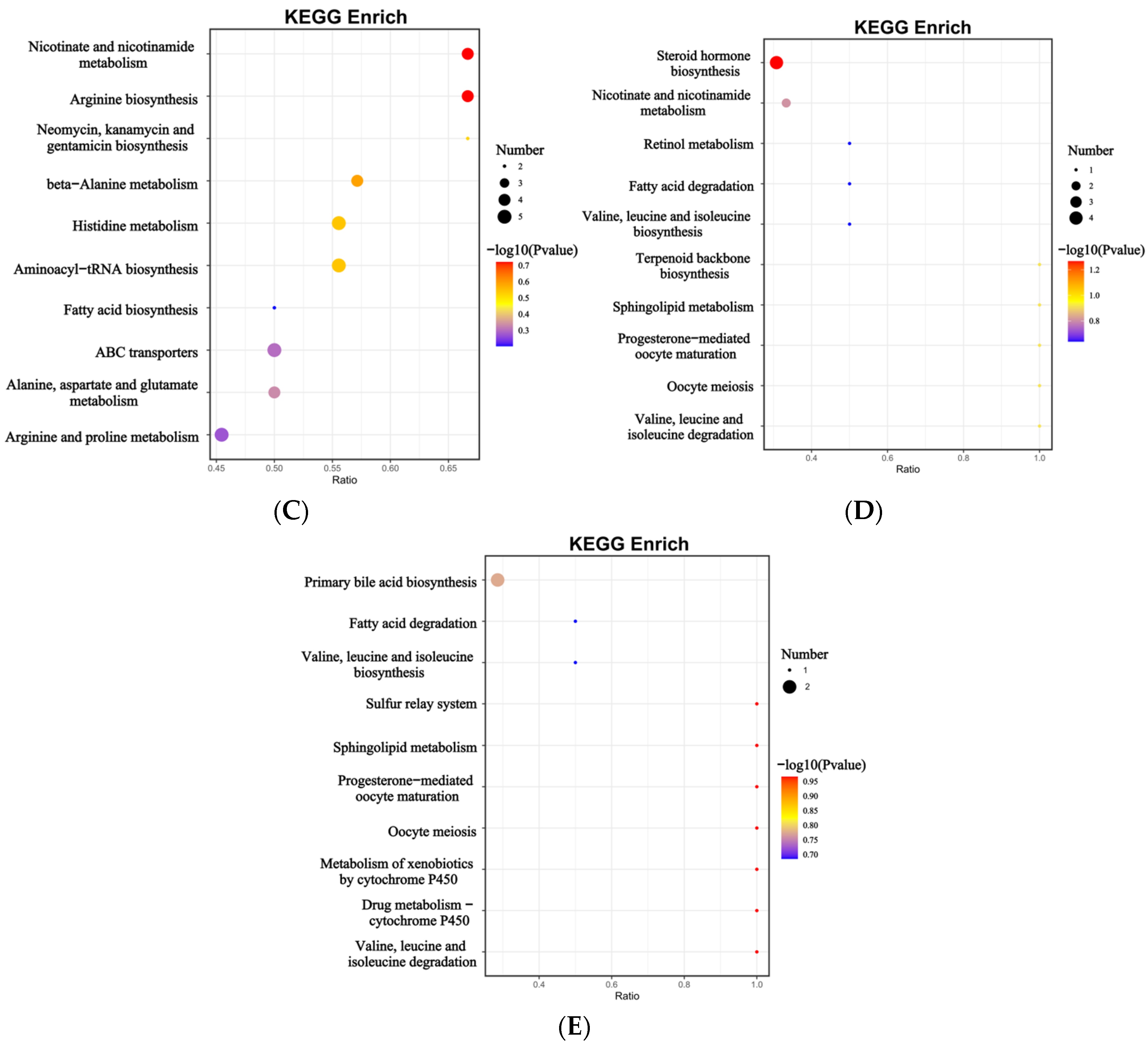 Fishes 10 00228 g005b