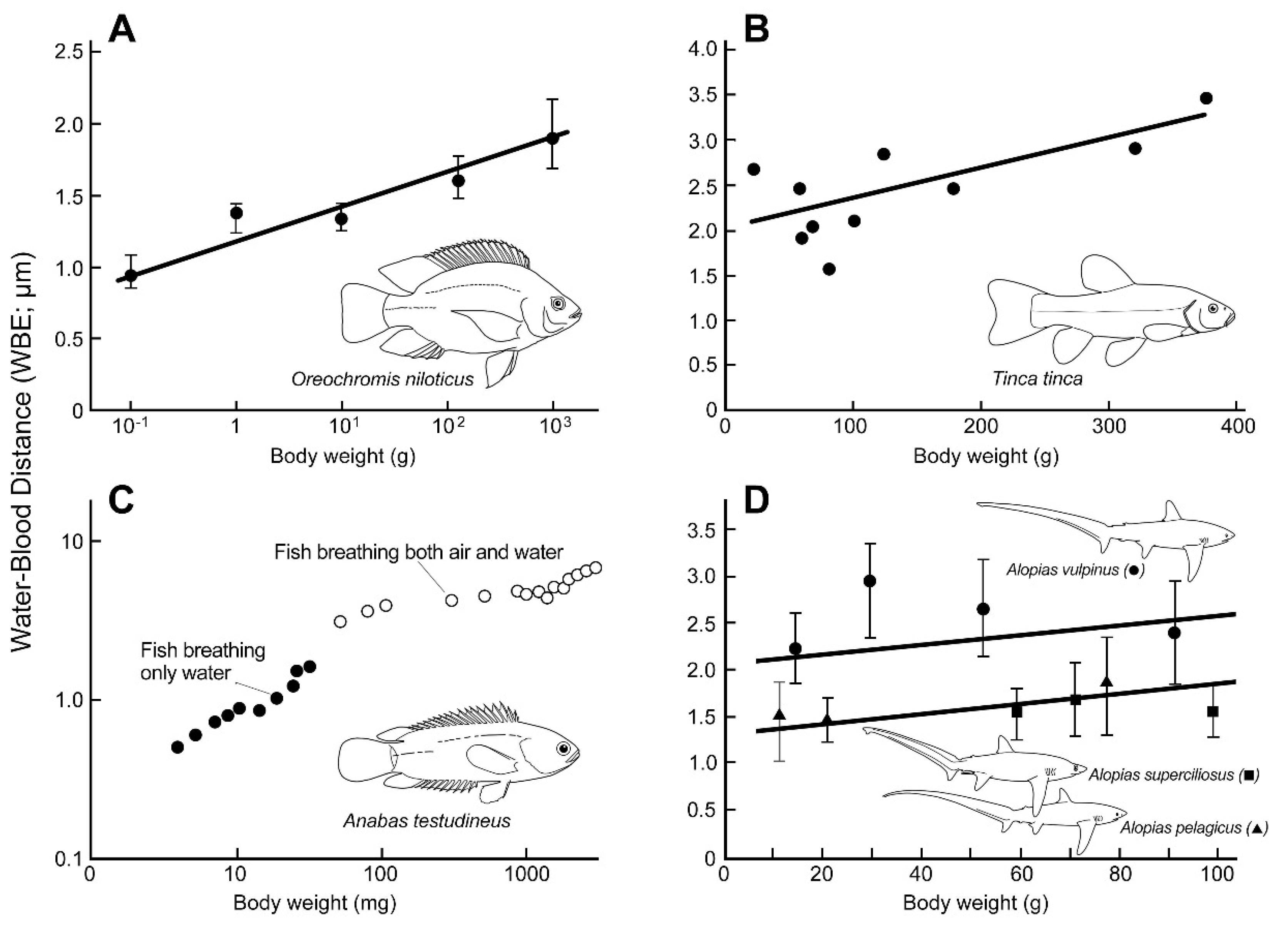 Fishes 10 00233 g002