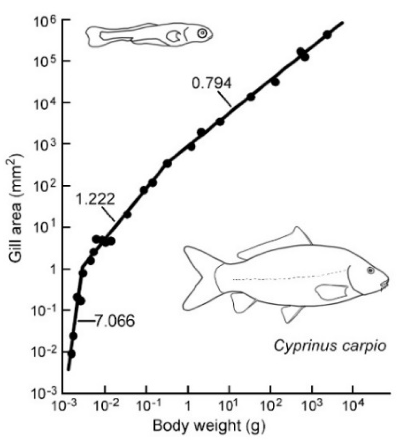 Fishes 10 00233 g004